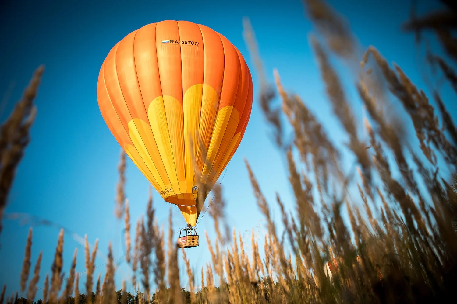 21_aug_деревня_конюхова_PRMK_030 copy.jpg