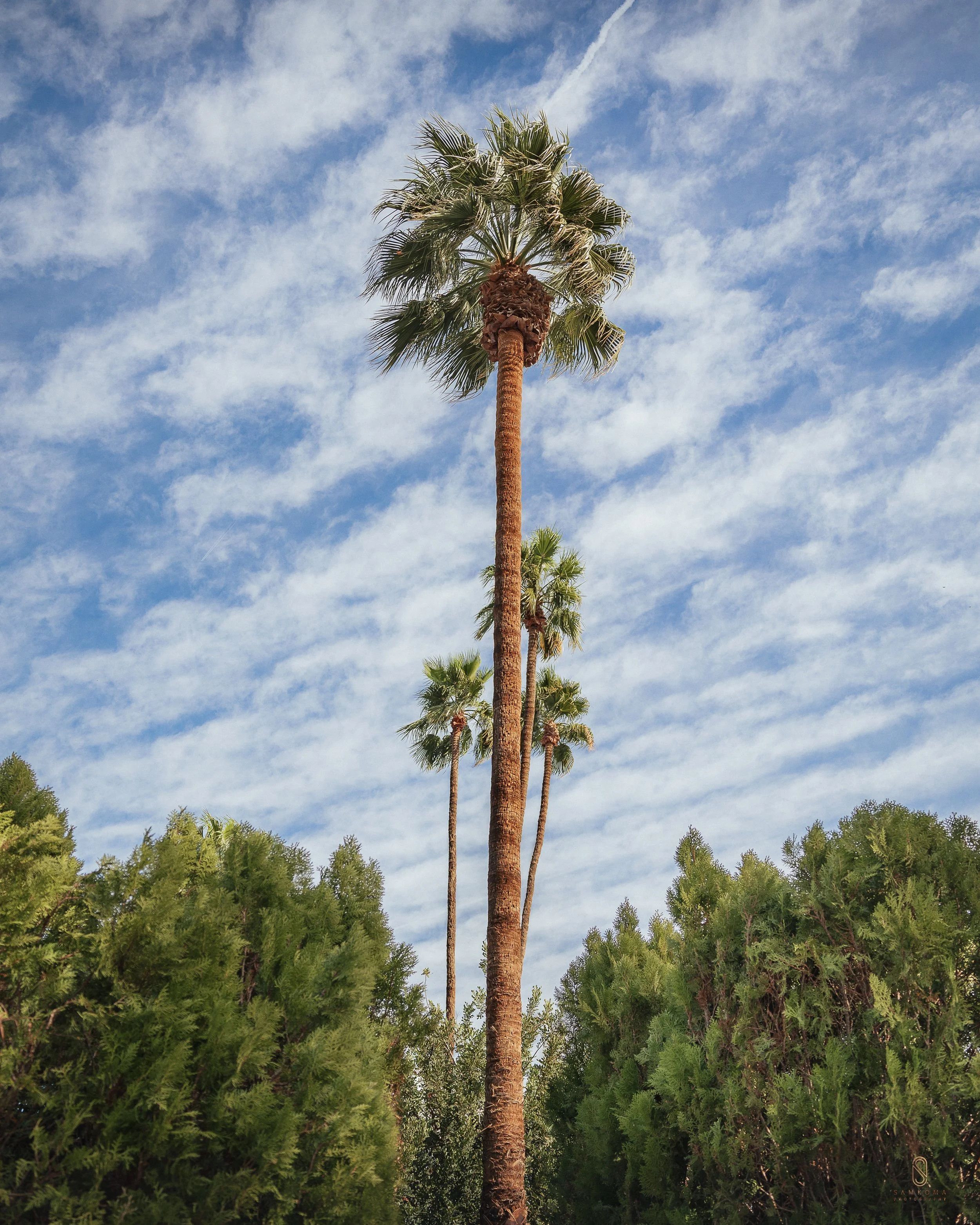 PALM SPRINGS_5.jpg