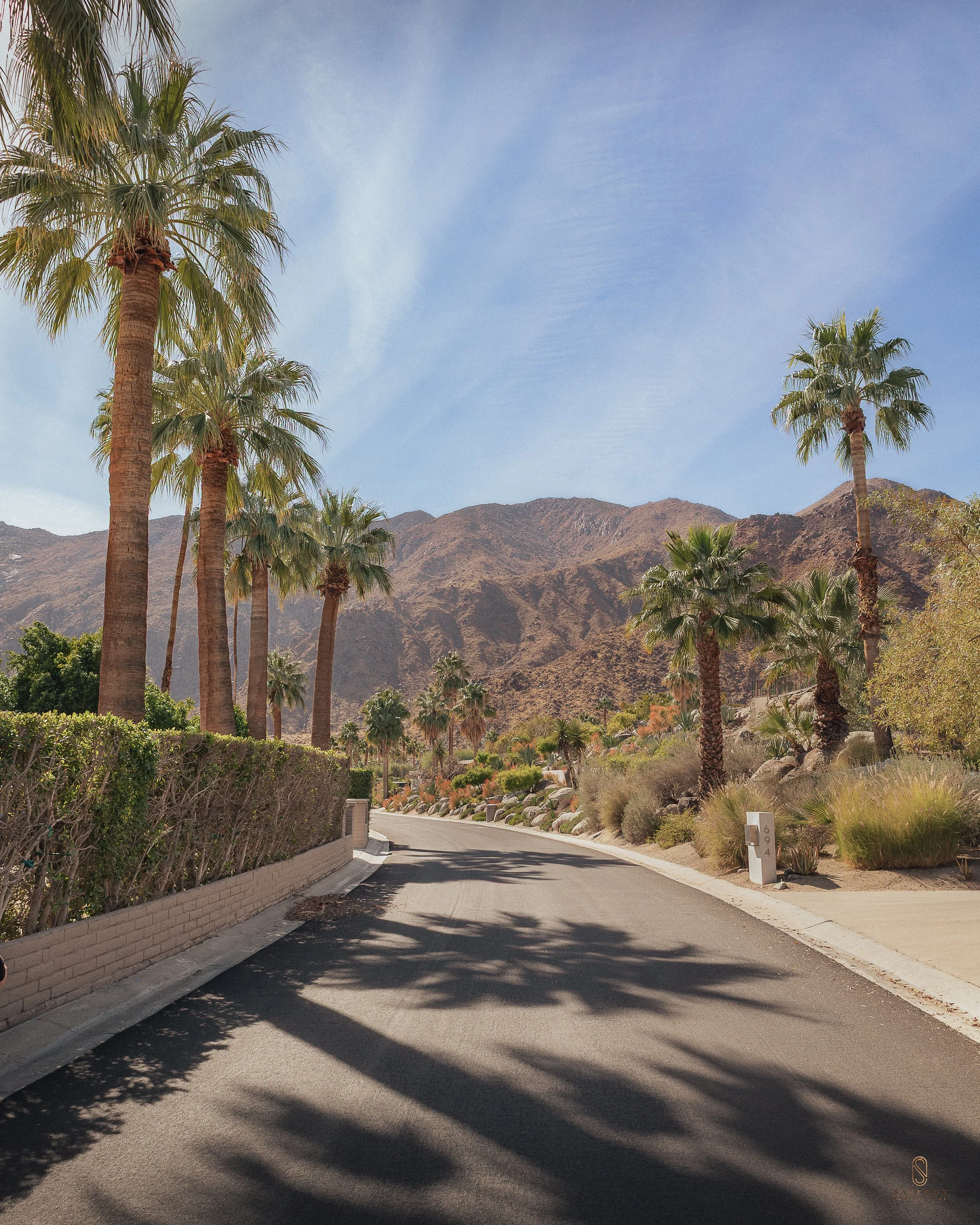 PALM SPRINGS_2.jpg