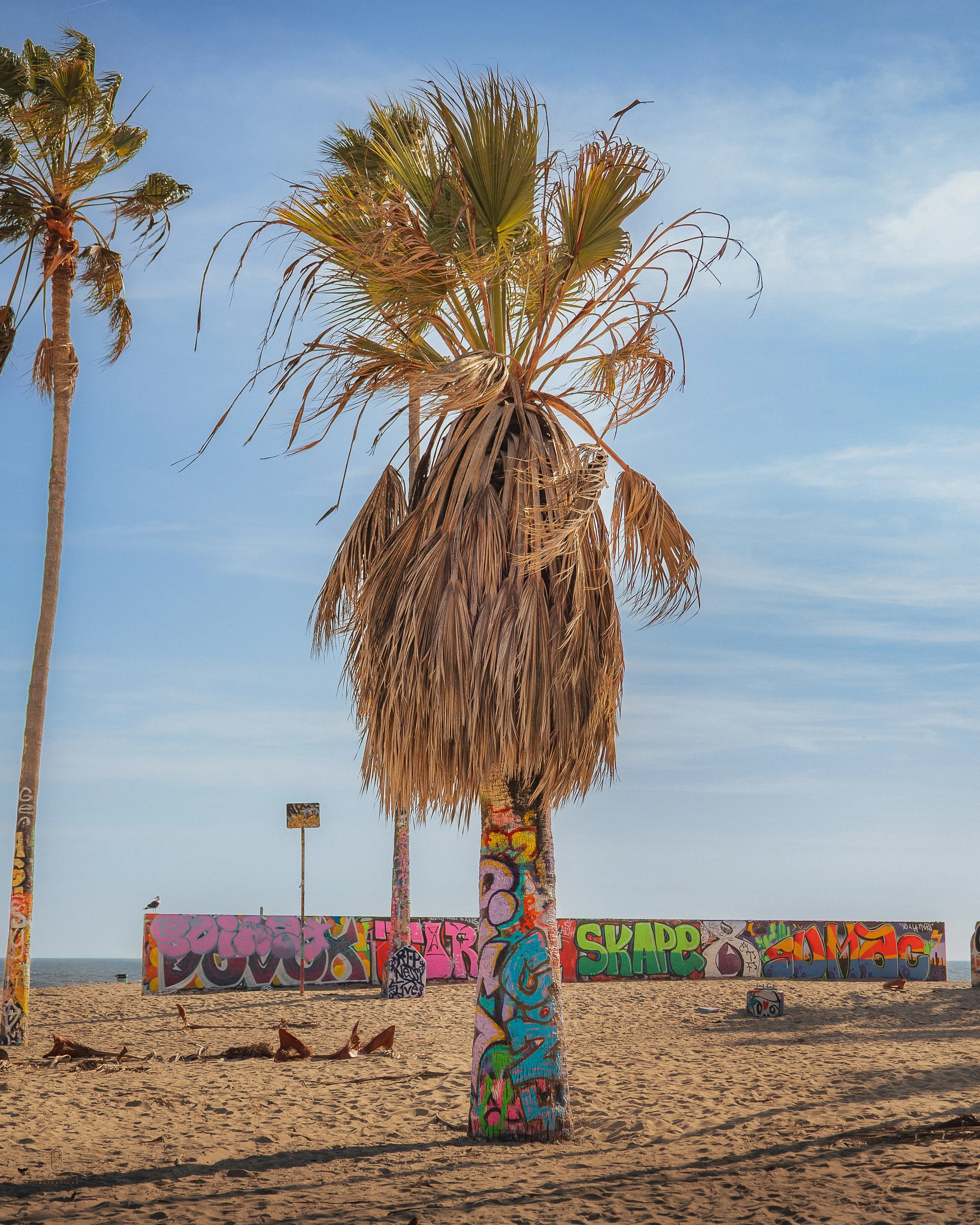 VENICE BEACH_1.jpg