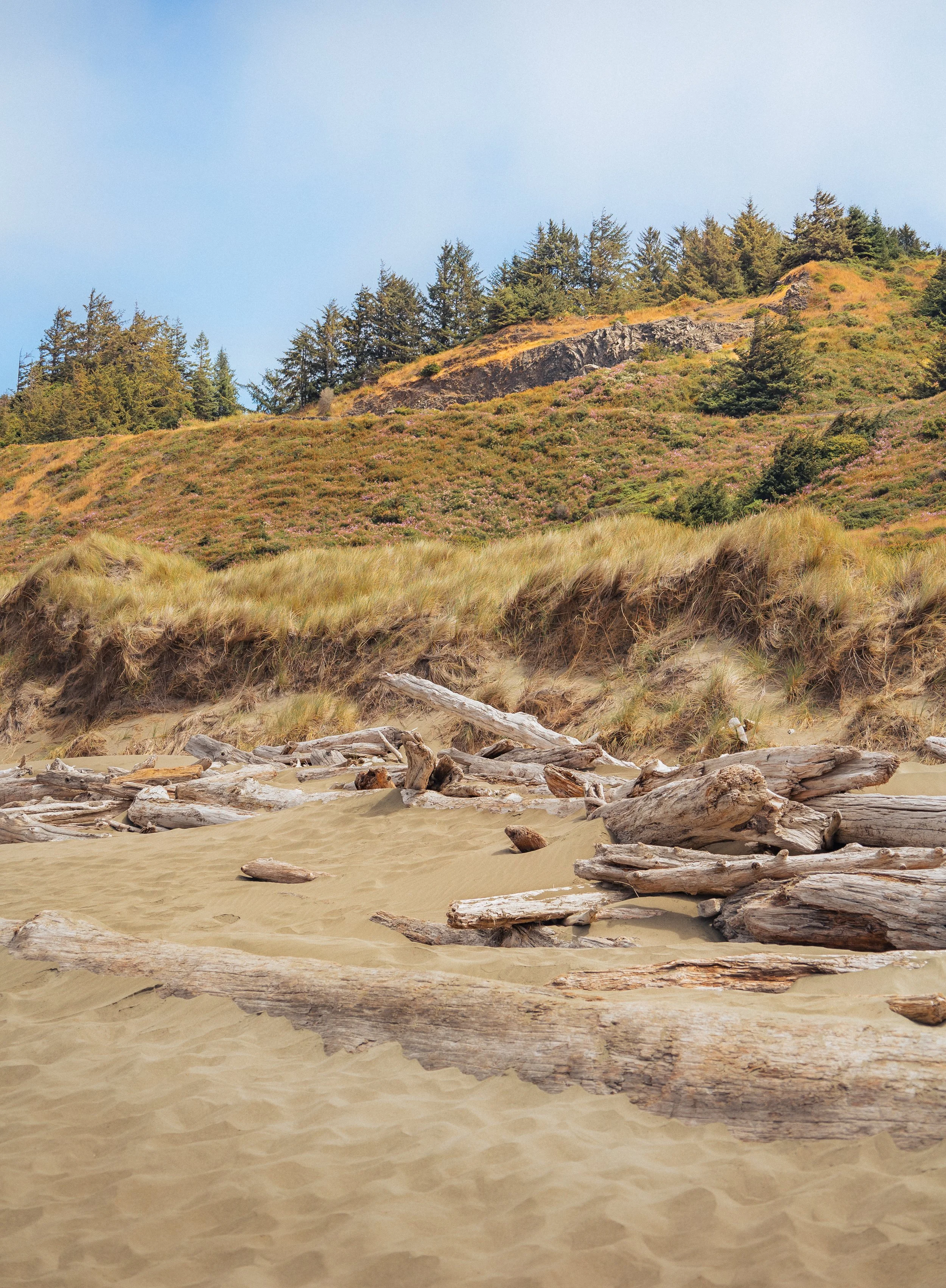 Pacific Northwest, No. 11