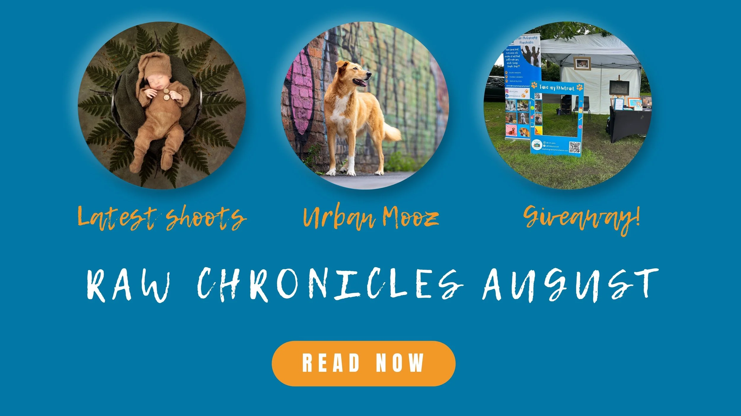 RAW Chronicles - August 2025
