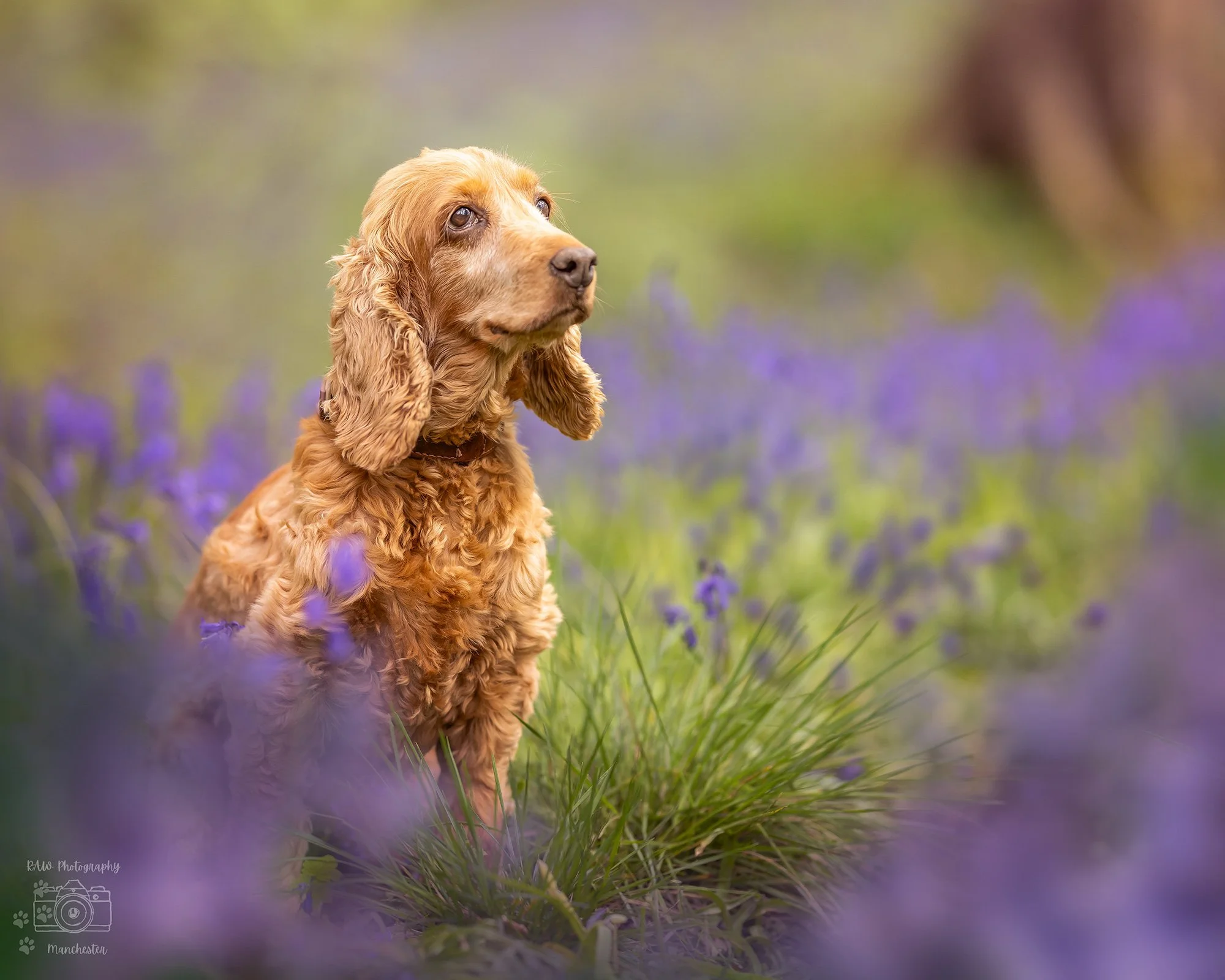 IMG_1655-LR-logo.jpeg