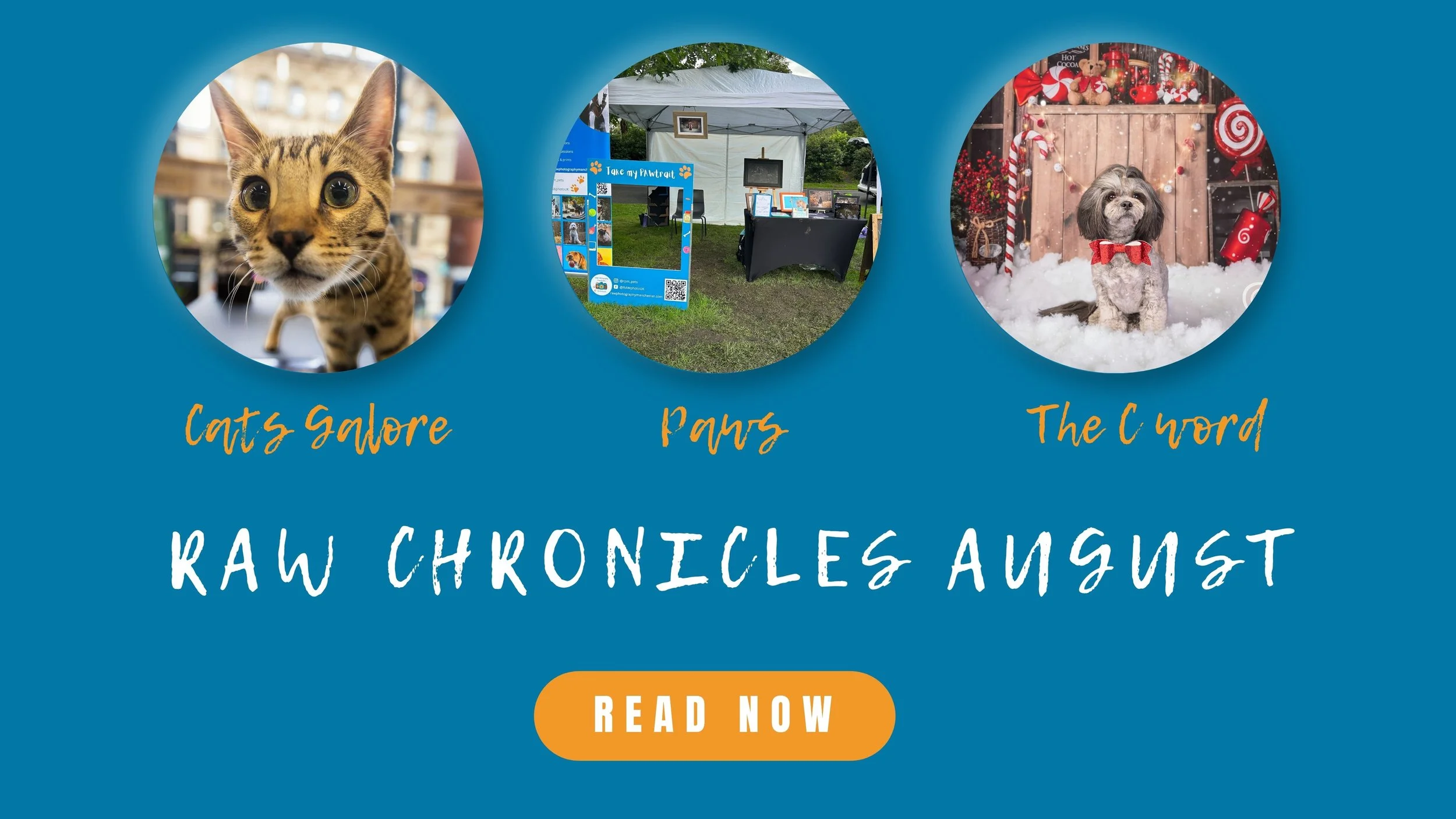 RAW Chronicles - August 2026
