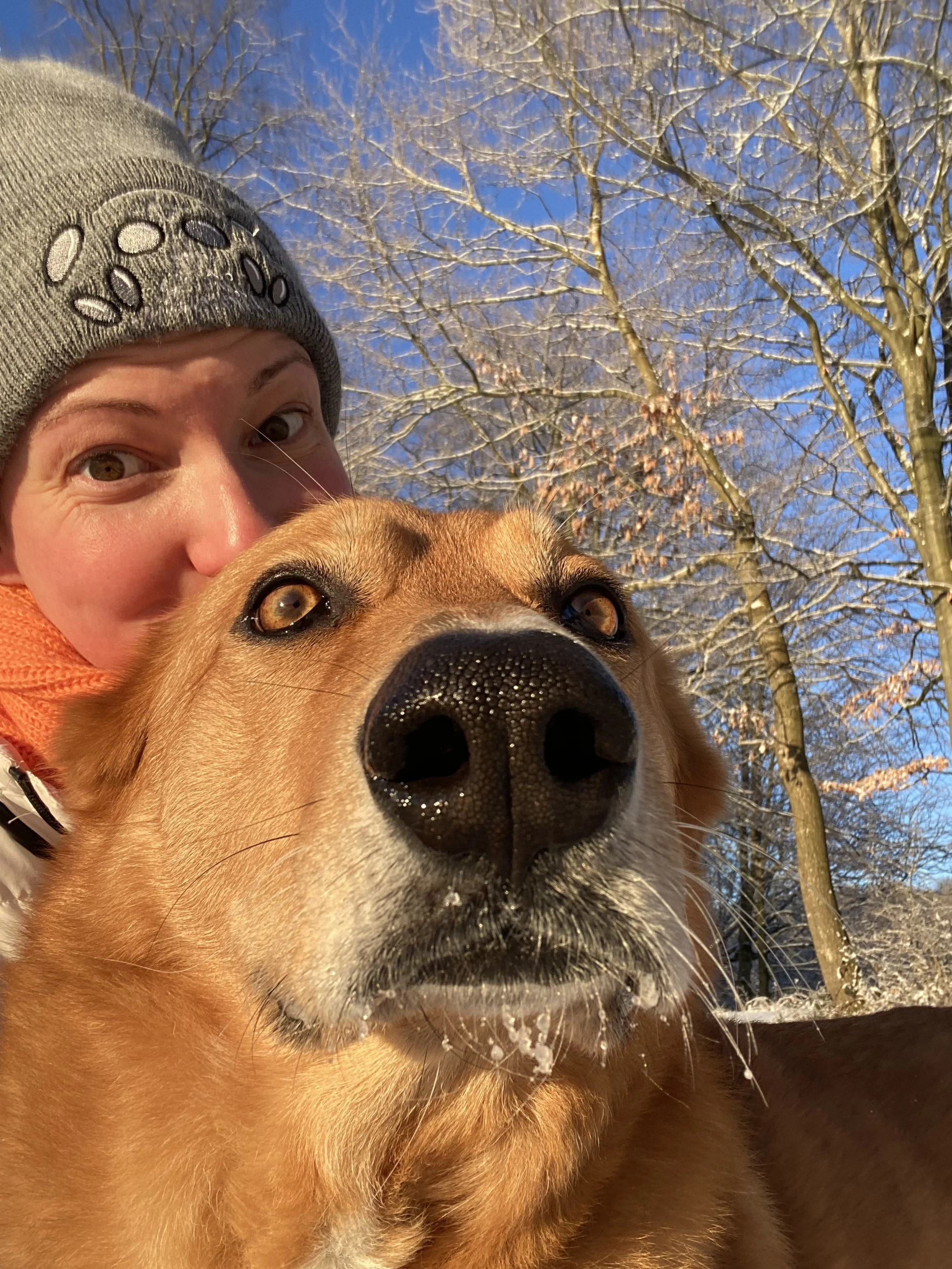 Vixie is back to running with us at RAW Photography Manchester