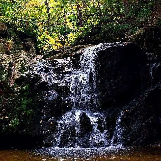 Baltimore This Weekend