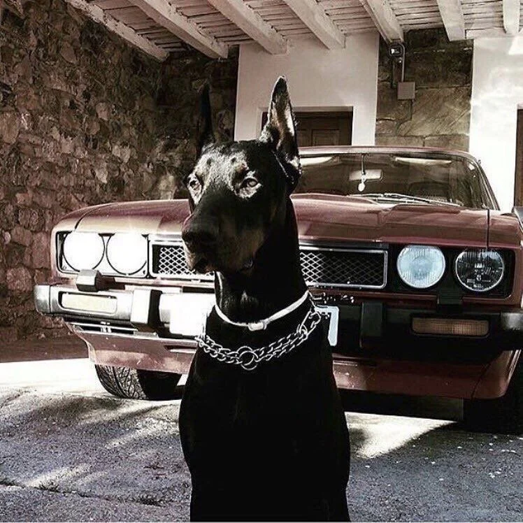 Baltimore This Weekend