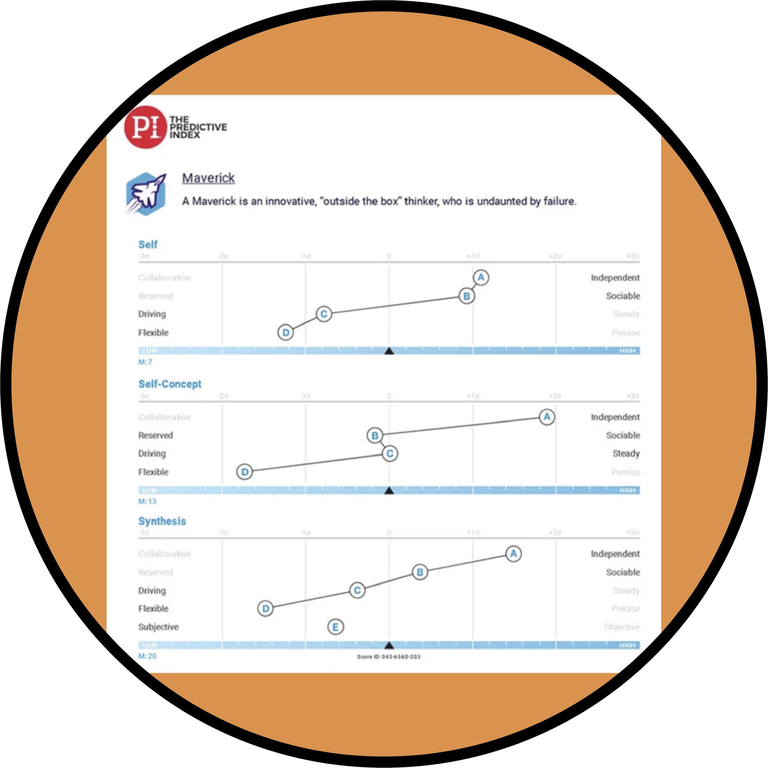 Free PI The Predictive Index Behavioral Assessment