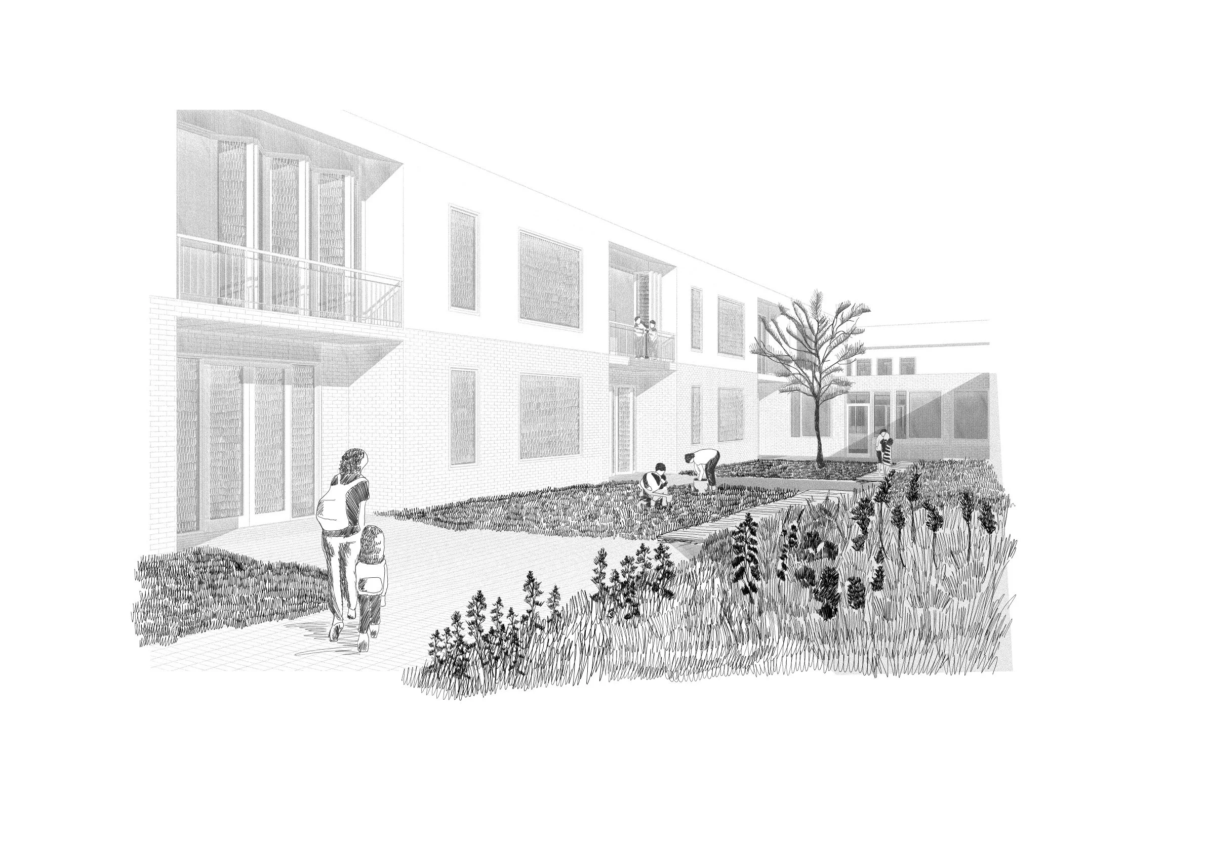 Garden_ perspective.JPG