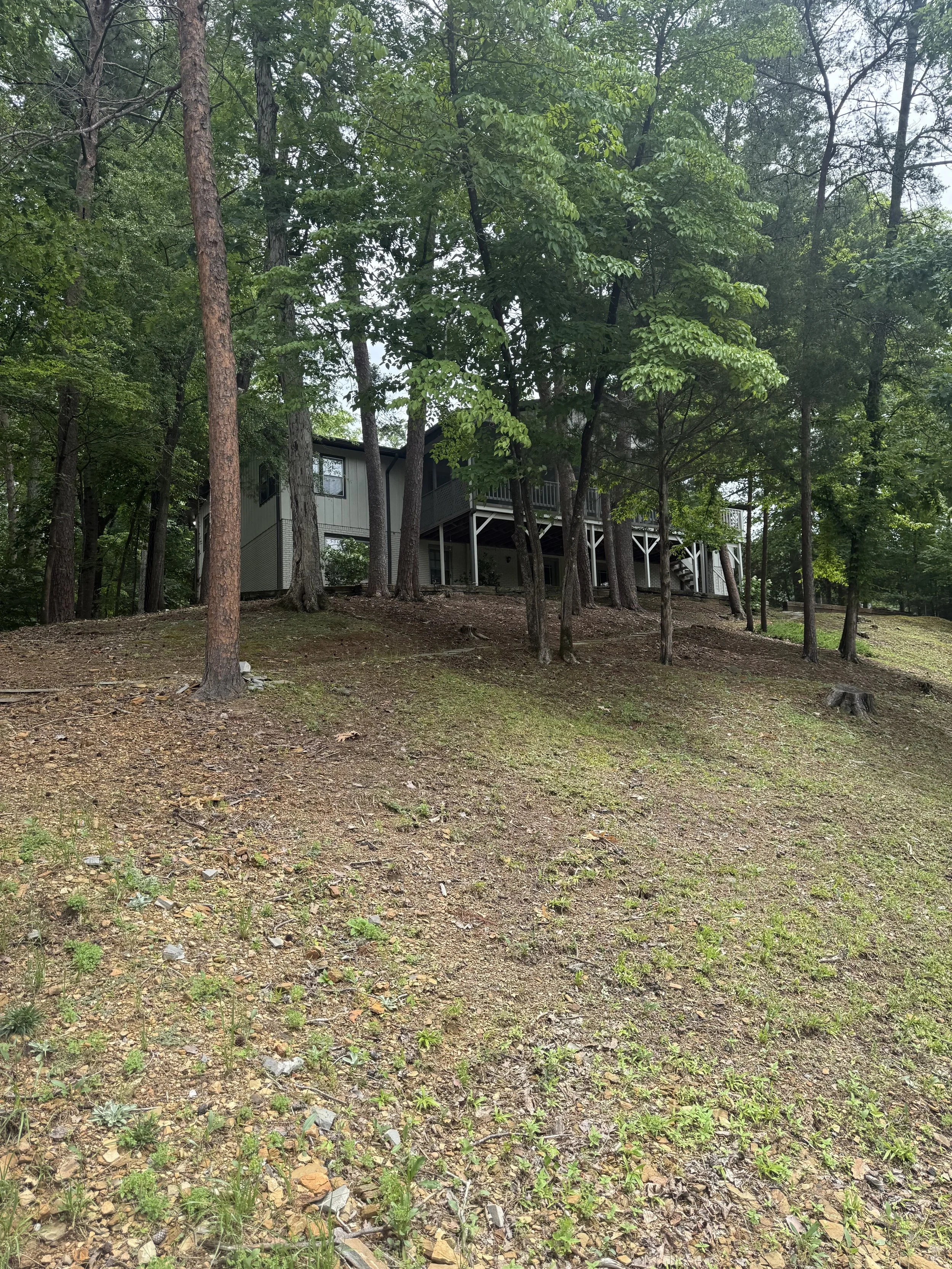 House 4.jpg