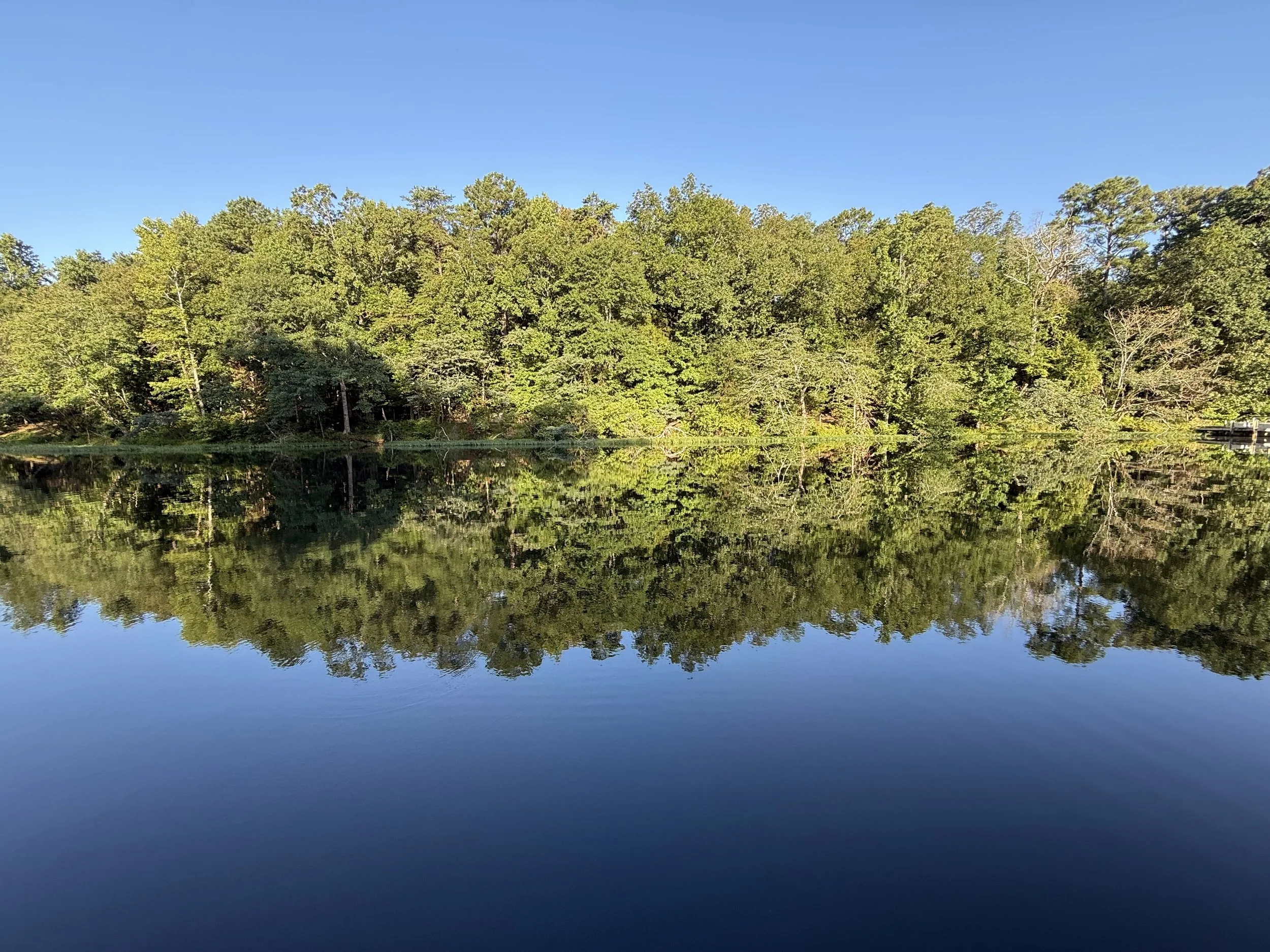 Lake View 2.jpg