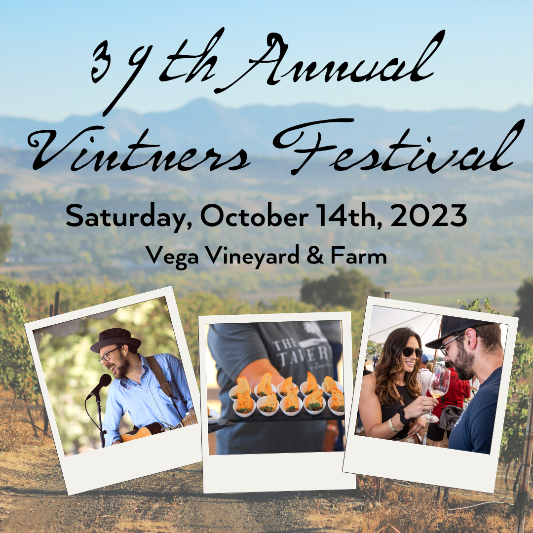 39th Annual Vintners Festival at Vega Vineyard & Farm — Vega Vineyard