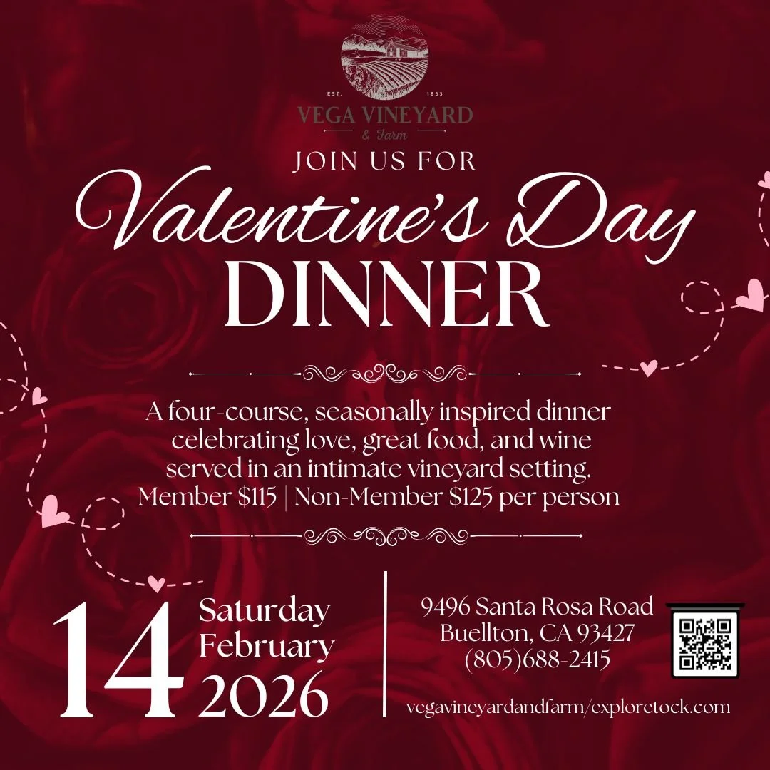 Valentines in the Vineyard