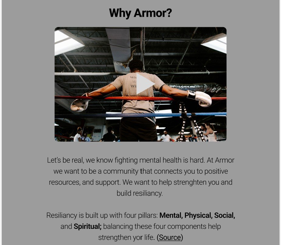 Why Armor.jpg