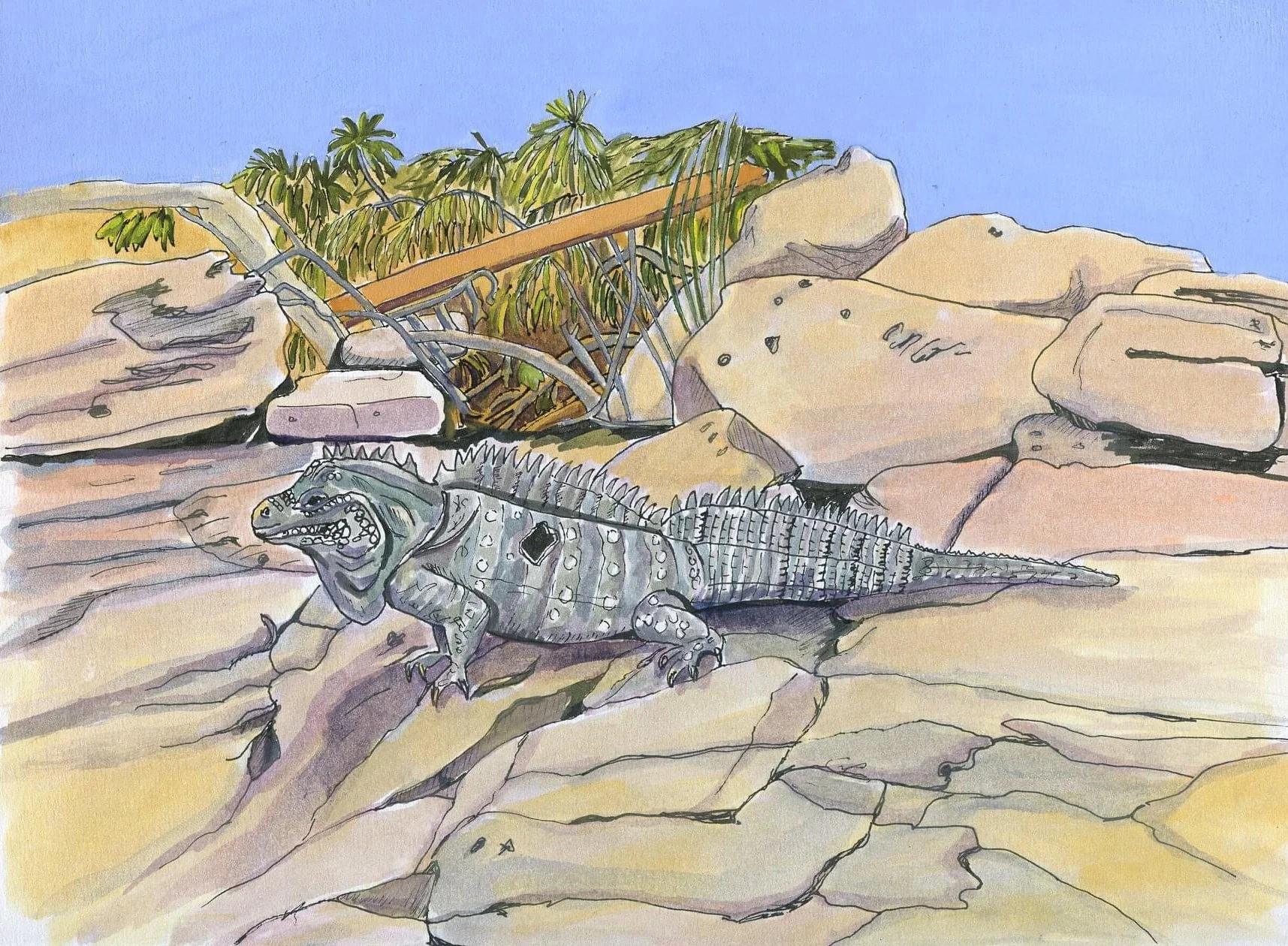 ZaZa the mascot of Sol Cayo Largo del Sur