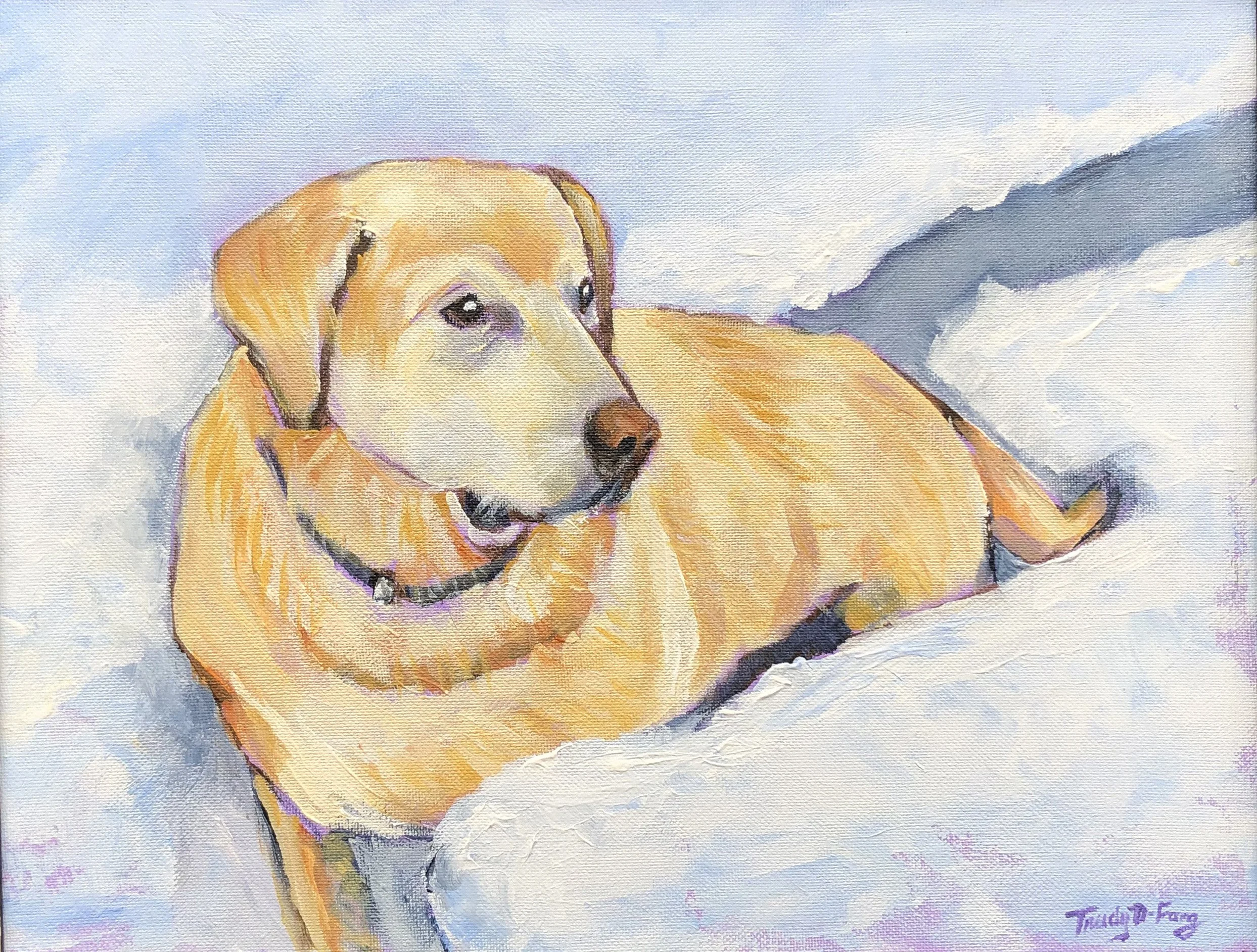 Sam, the 95-pound lap dog