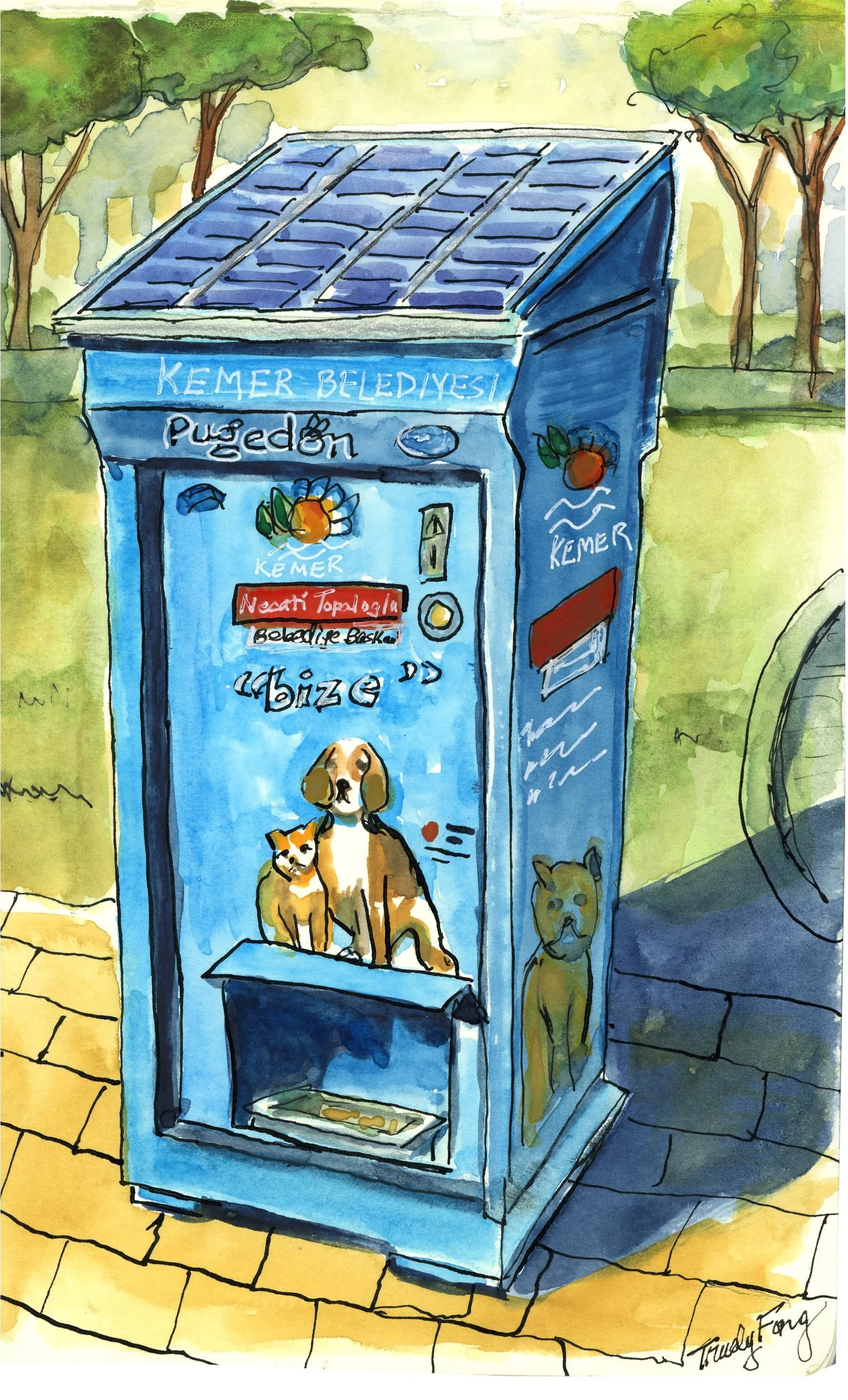 Kemer stray pet  food dispenser.jpg