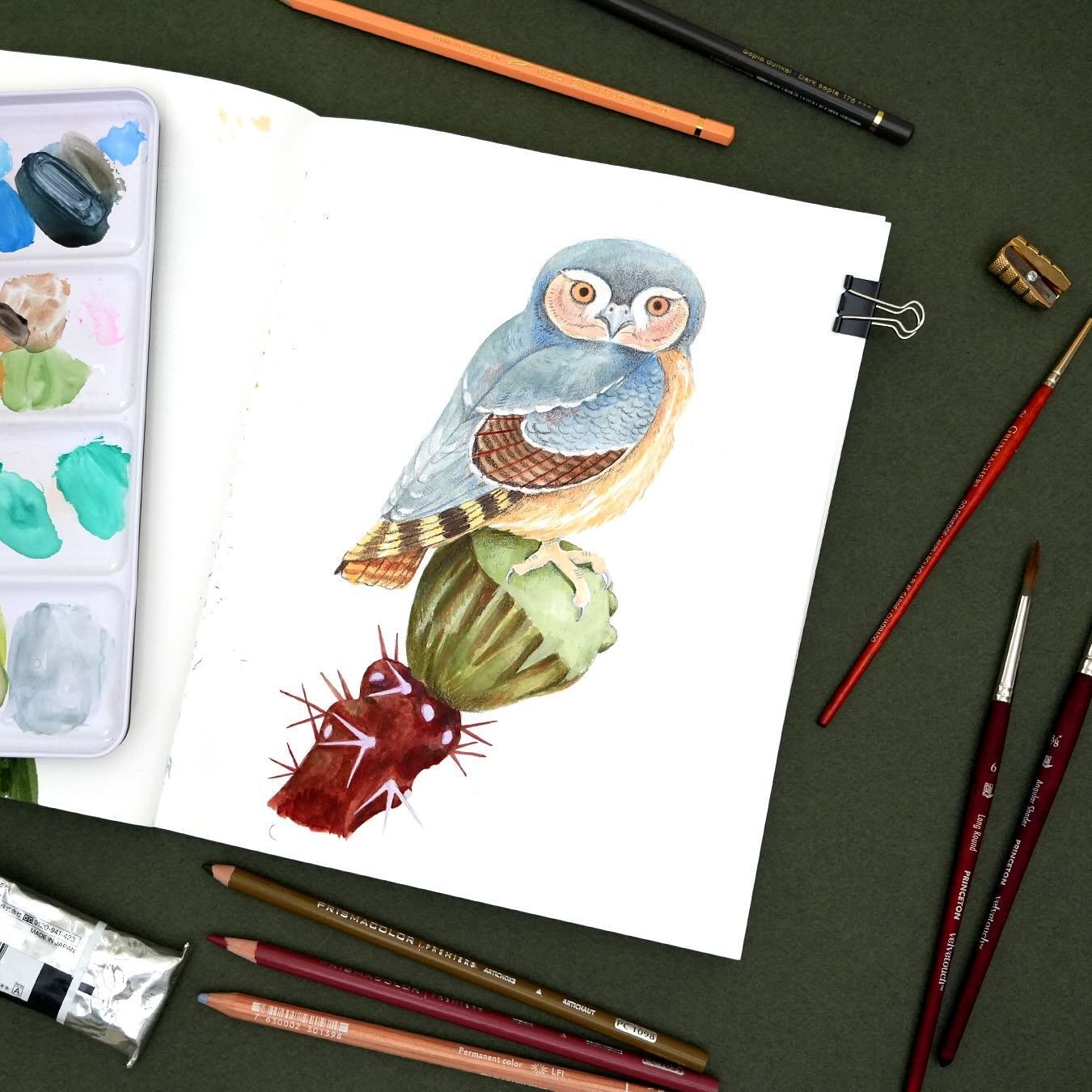 This little owl was done for the Bring Spring art challenge! I loved illustrating this little fella. Looking forward to creating art around the other prompts as well. 😊

Supplies: Strathmore mixed media sketchbook, gouache, watercolor, and colored p