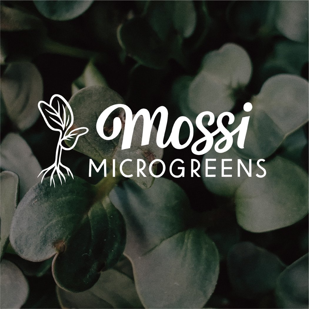 Featured Project: Mossi Microgreens