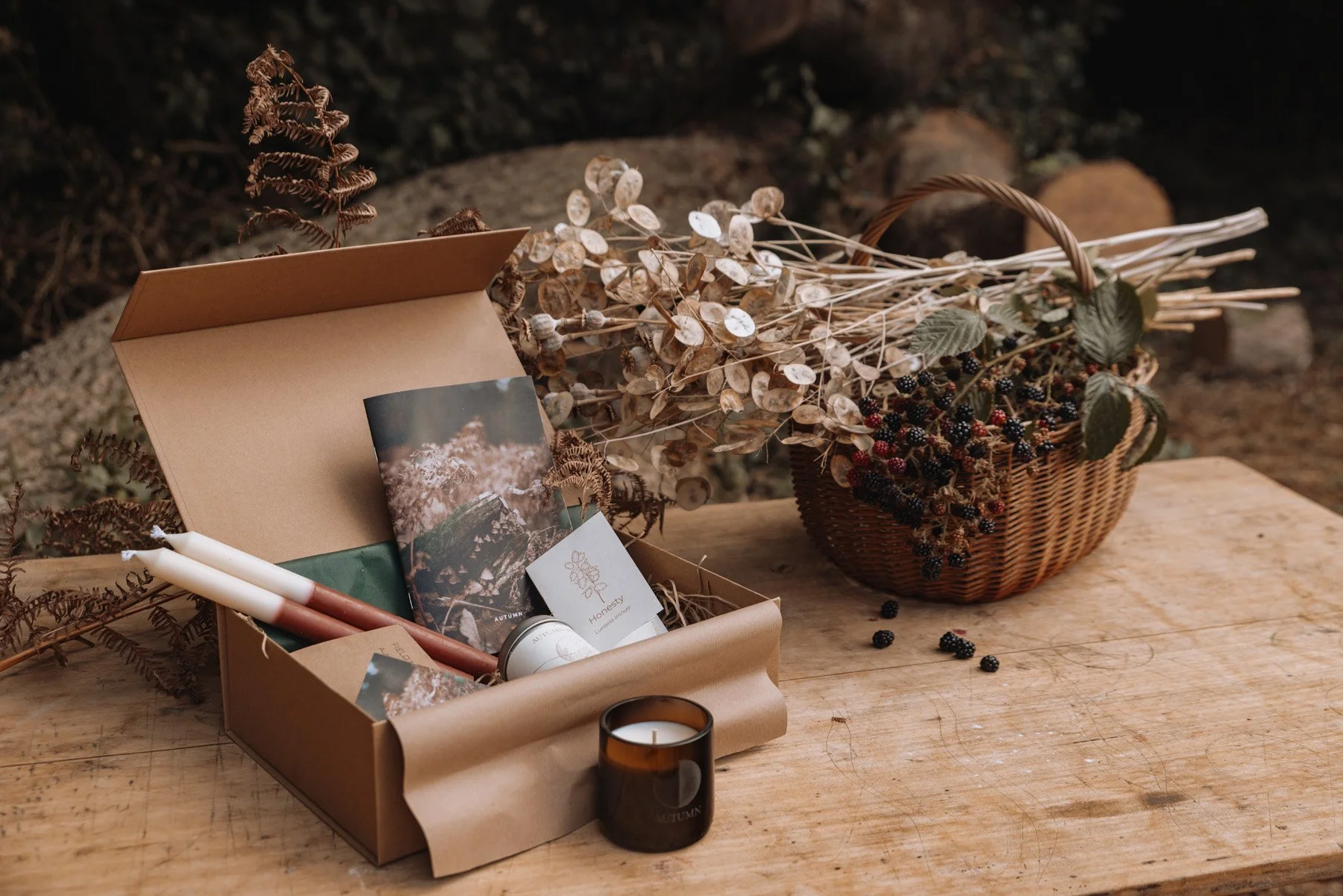 autumn-chapter-box-26.jpg