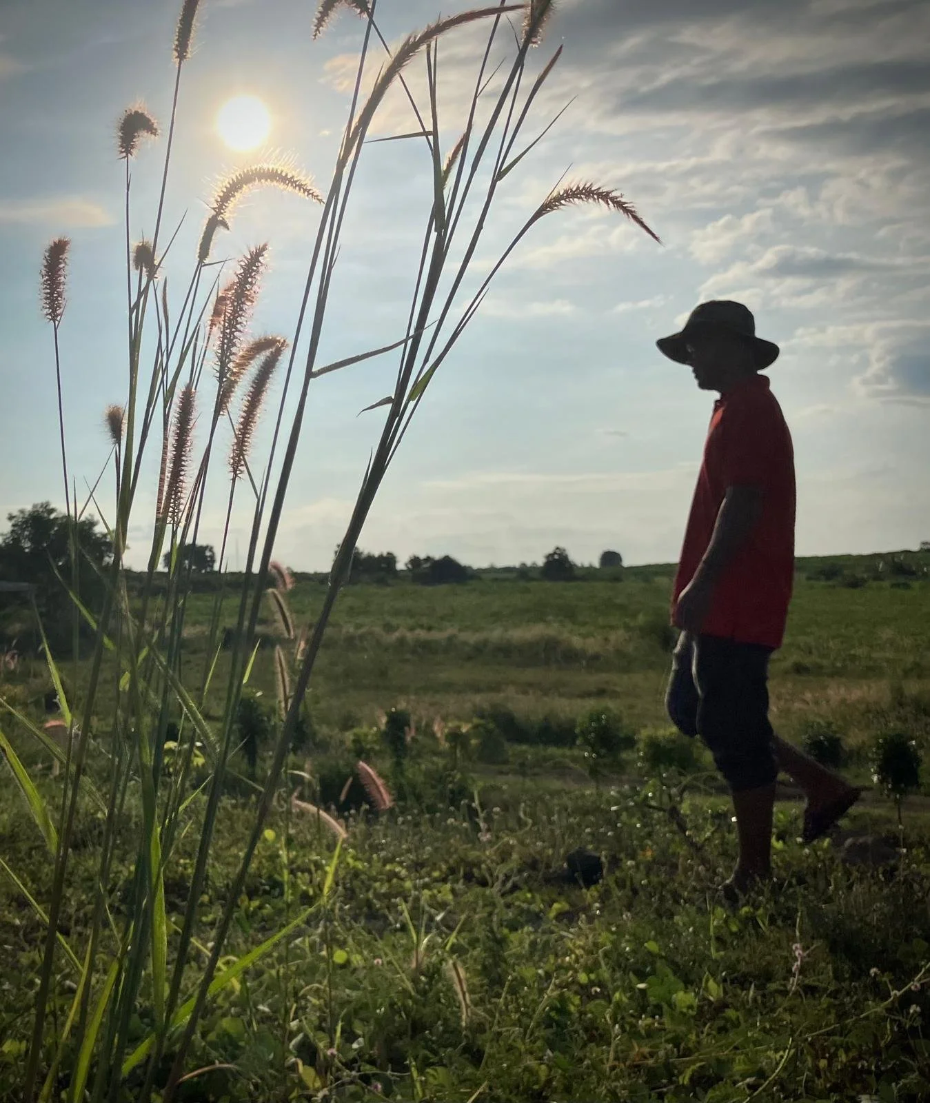 aeff3ab5-11a2-4edb-a963-b54139f981e9 2.JPG