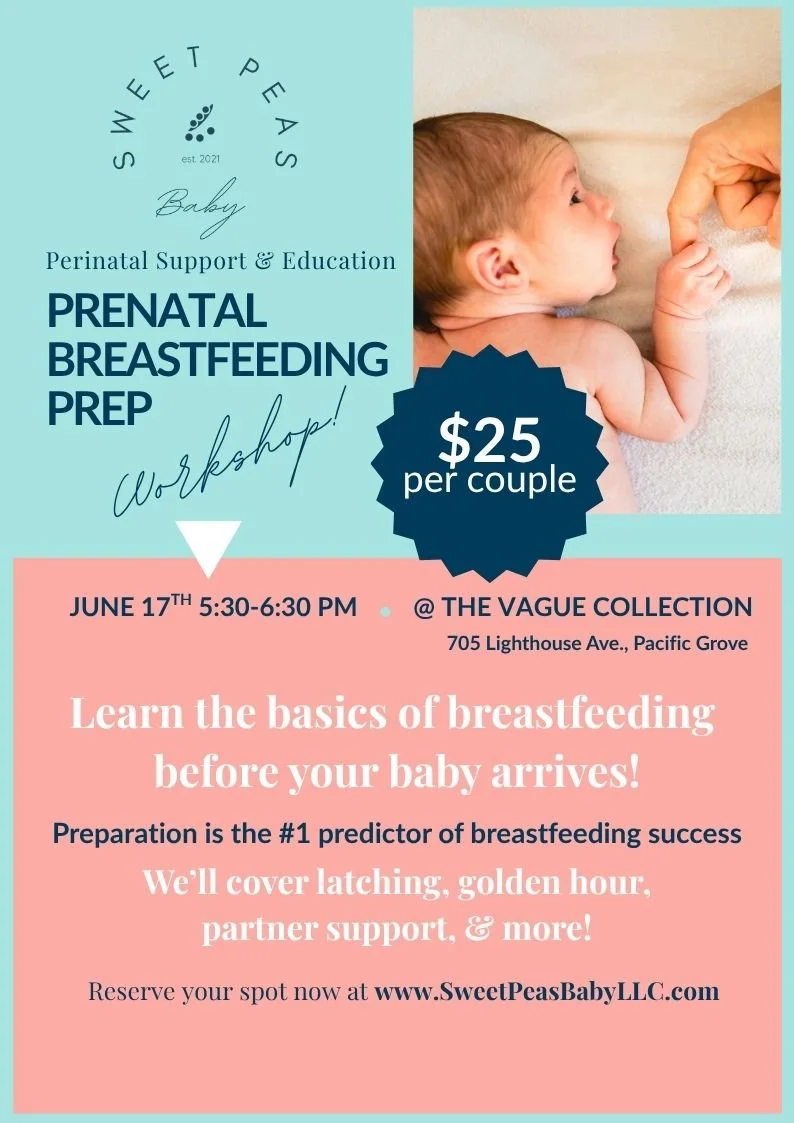 Prenatal Breastfeeding Prep Workshop
