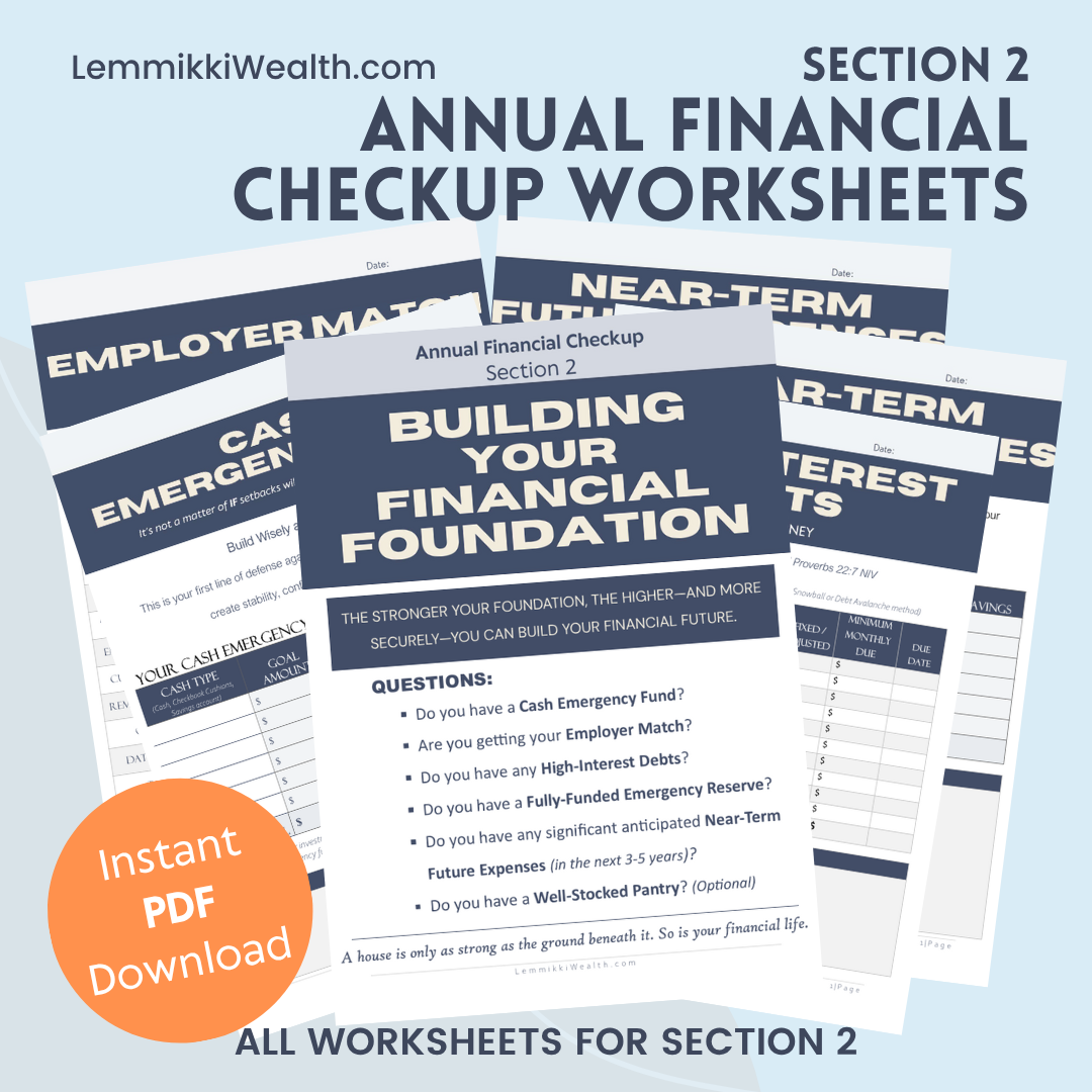 Section 3 - Annual Financial Checkup Worksheets (PDF) — LemmikkiWealth