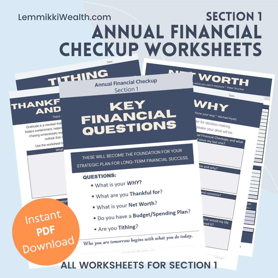 Section 3 - Annual Financial Checkup Worksheets (PDF) — LemmikkiWealth