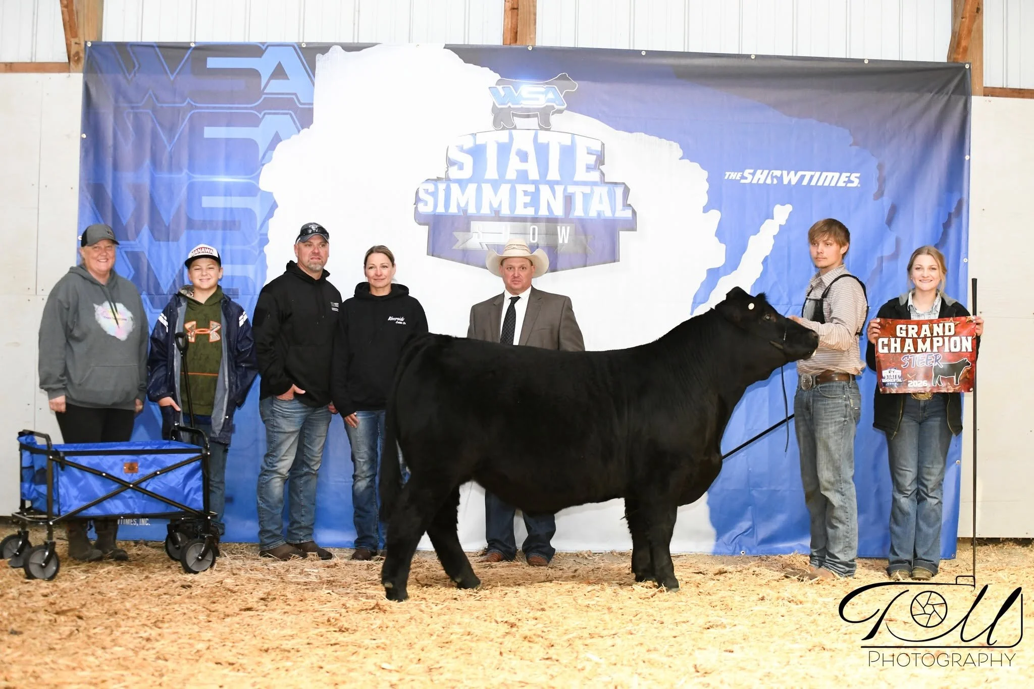 Champion Simmental Steer-Brice Fahser