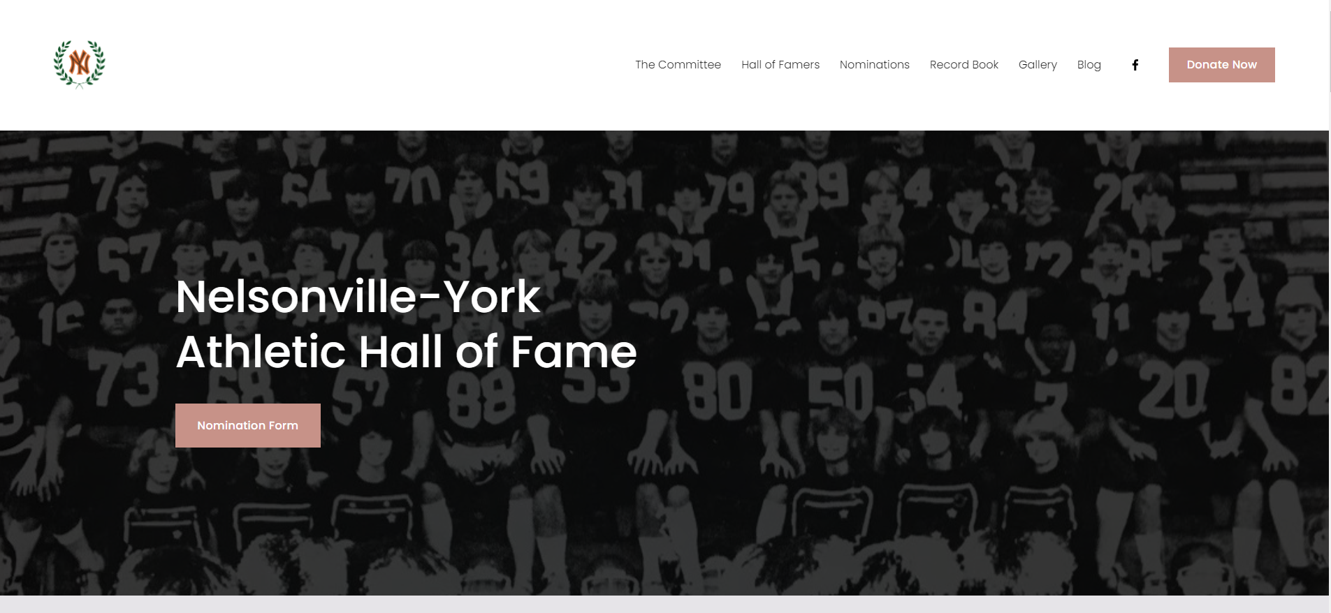 NYHS HOF Website.PNG