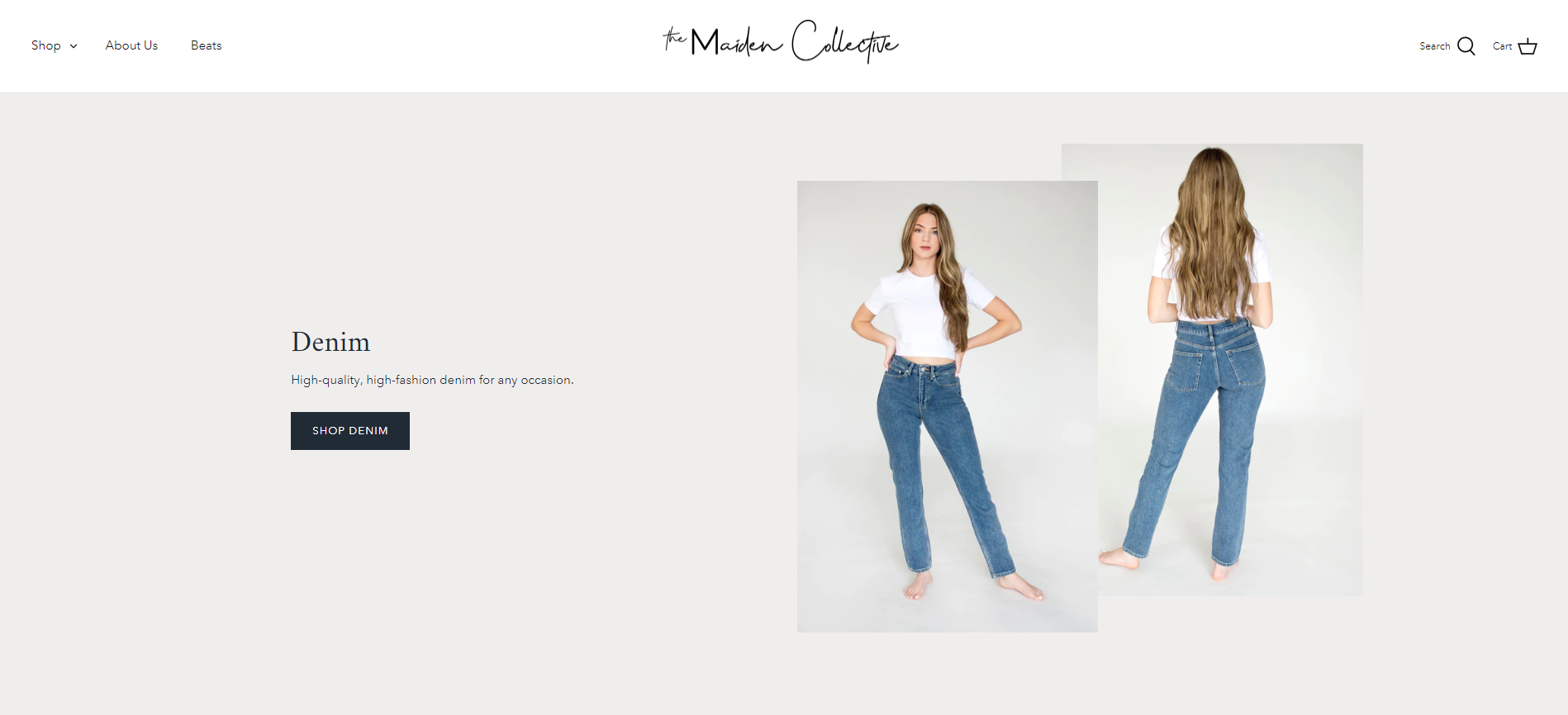 TMC Website_3.PNG