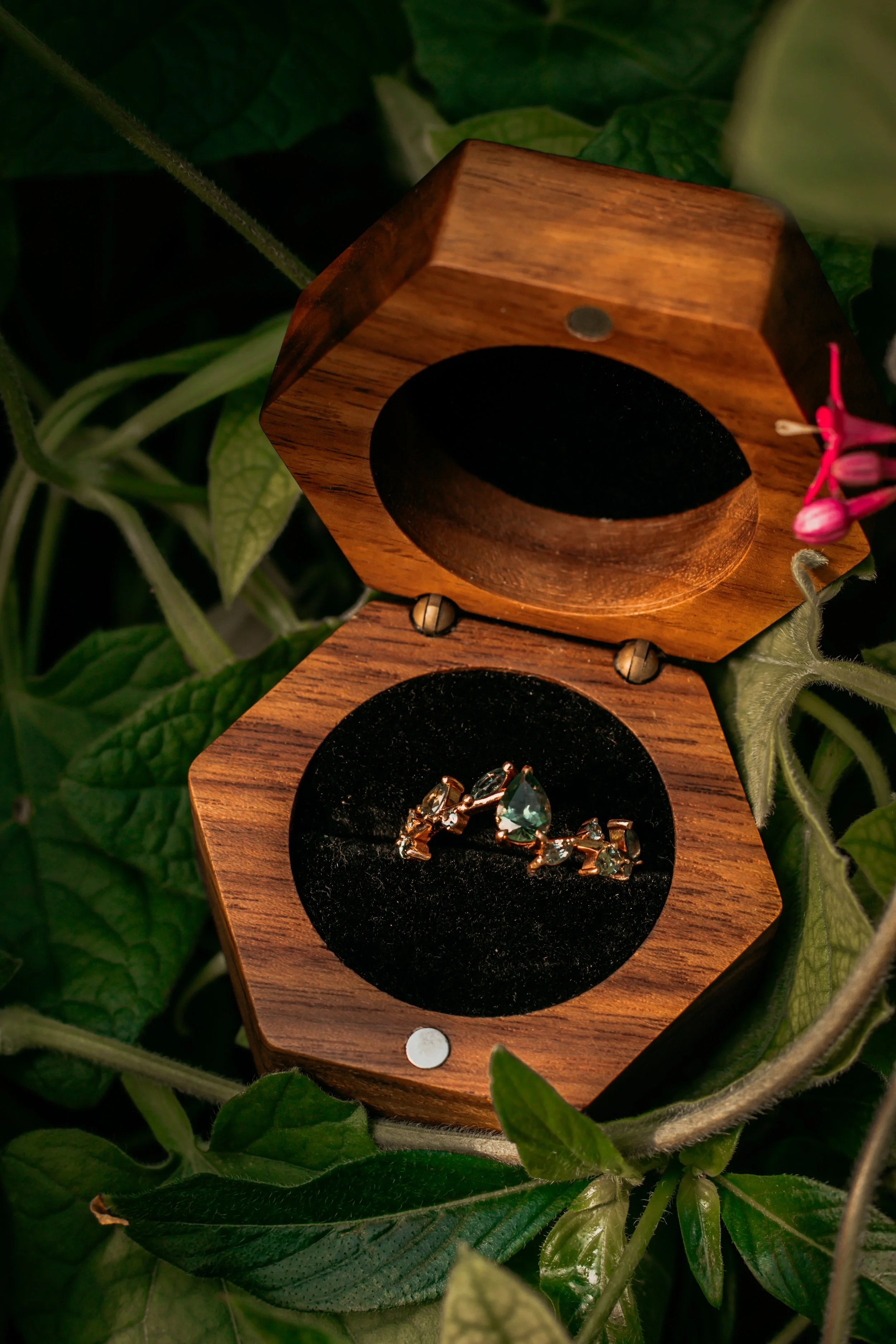 Hollis&Cy - Photos-21.jpg