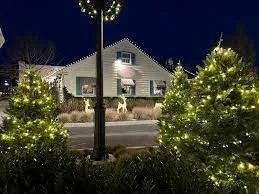 Flora- West Hampton, NY
