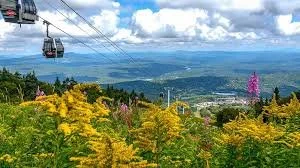 Stratton Mid Mountain