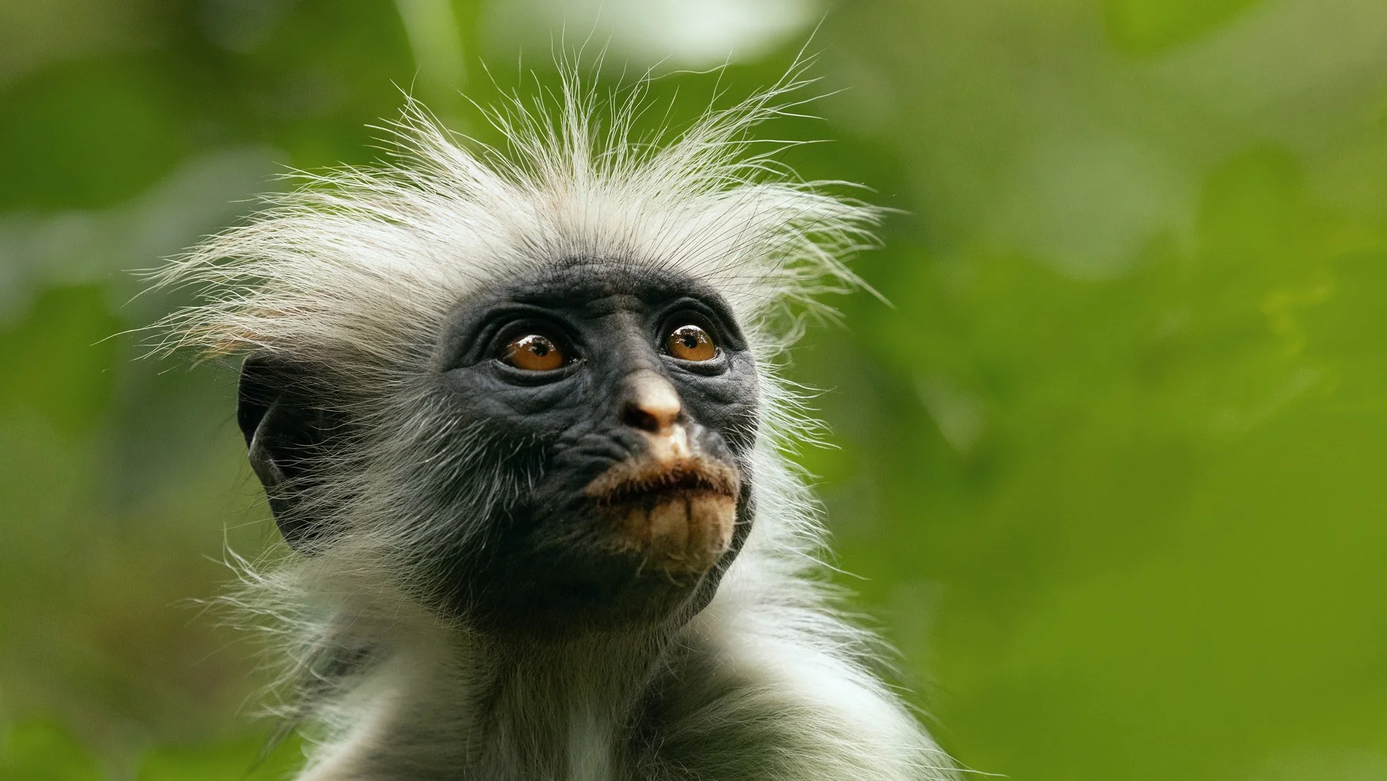 1108024_The_Secret_Lives_of_Animals_Big_Image_06_big_image_post.jpg.slideshow_large.jpg