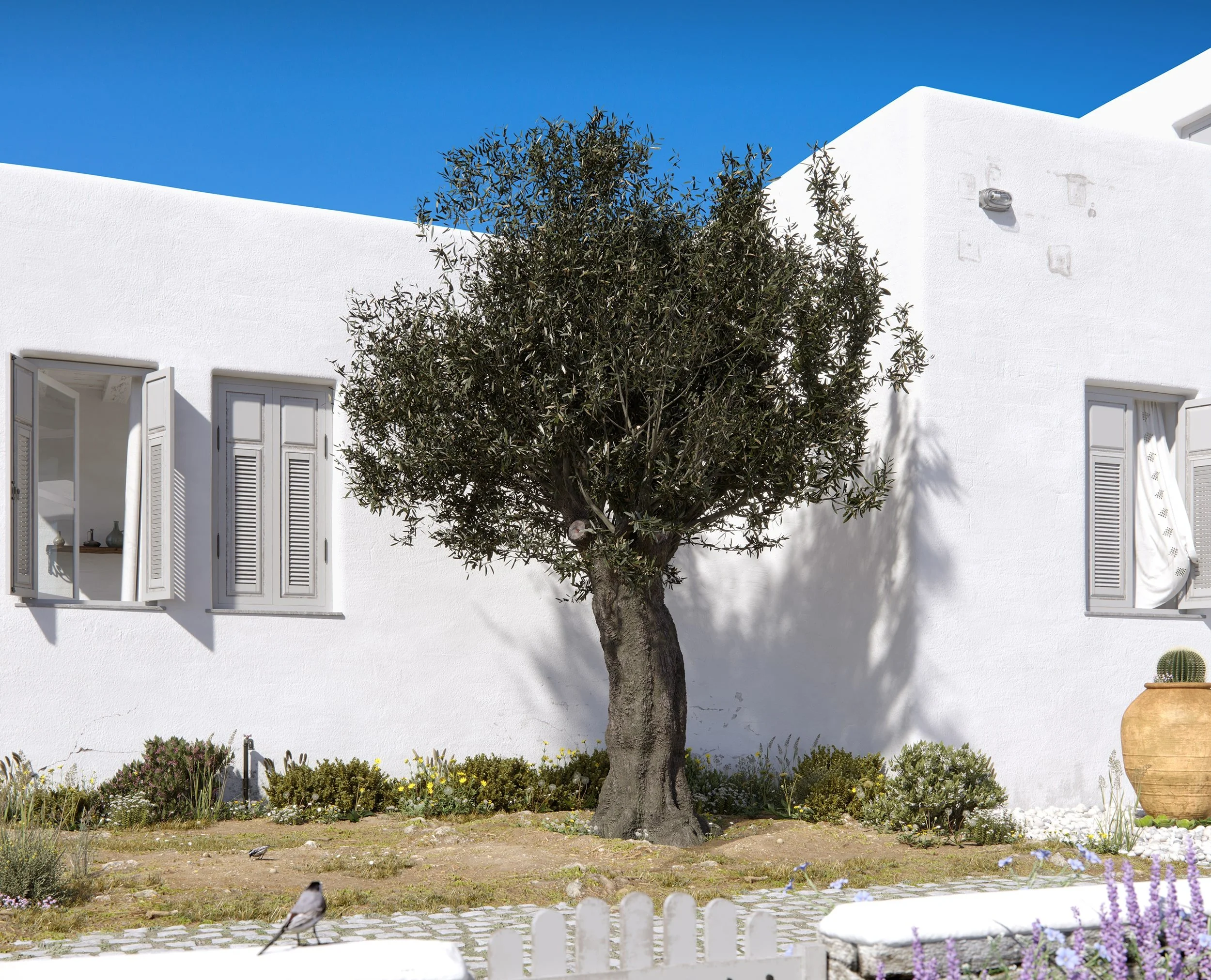 Architectural rendering of a Cycladic courtyard with whitewashed walls, olive tree, natural landscaping, terracotta pot with cactus and soft Mediterranean light in a serene island setting in the Cyclades.
