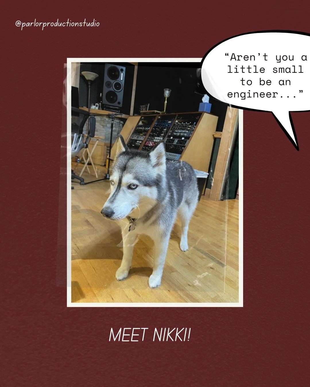 Meet our faithful studio dog, Nikki! She is a Siberian Husky who enjoys her morning walk and sleeping on the Parlor floor. (She's also the boss around here.) Hi, Nikki!

🐾 🐾 🐾

For bookings/inquiries about Parlor Studio, contact us here:
📞 (615) 