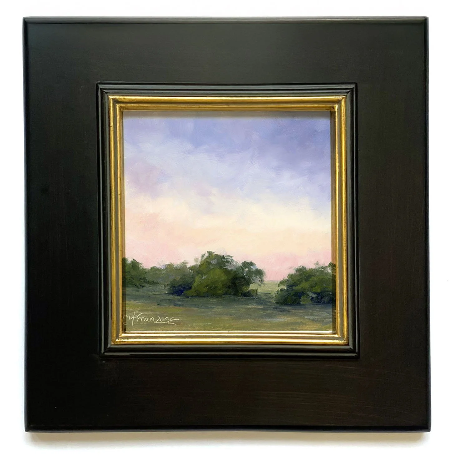 Meadow in Morning Haze 2.jpg