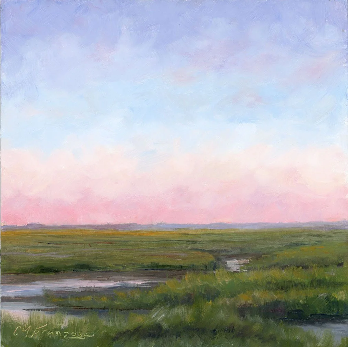 Marshland in Quiet Light.jpg