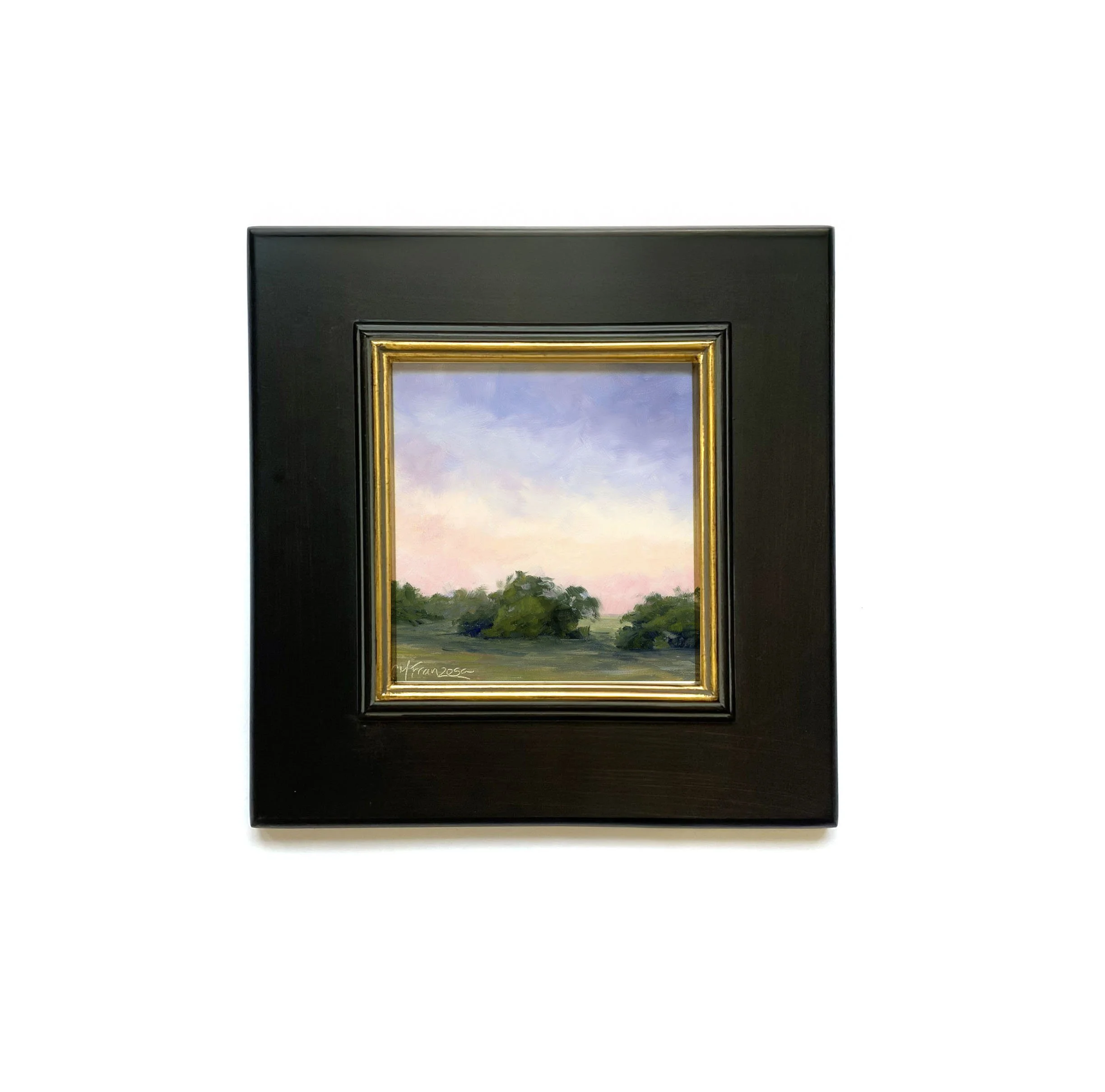 Meadow in Morning Haze 3.jpg