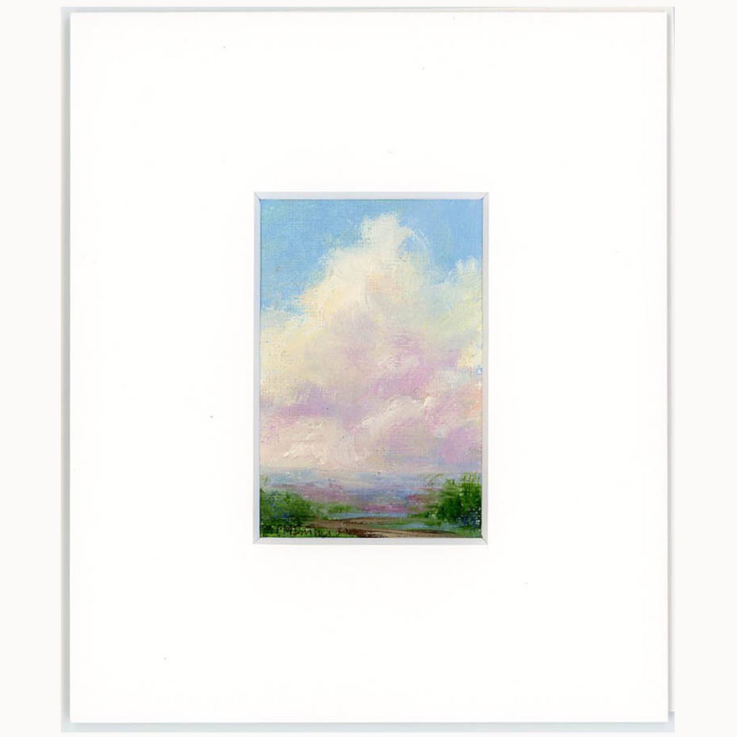 Mini Sky Study 22