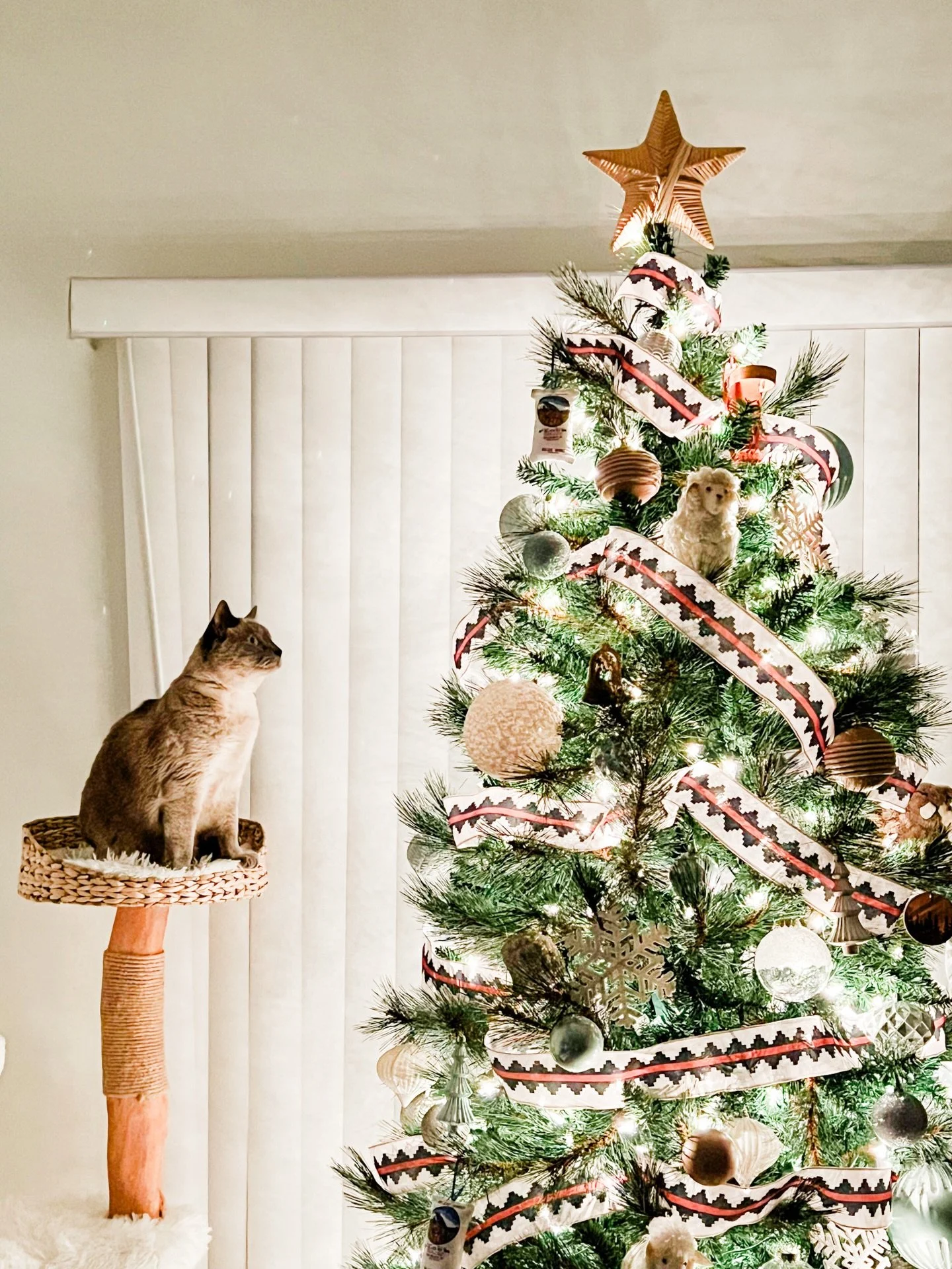 Some Cece Christmas tree content. 🎄