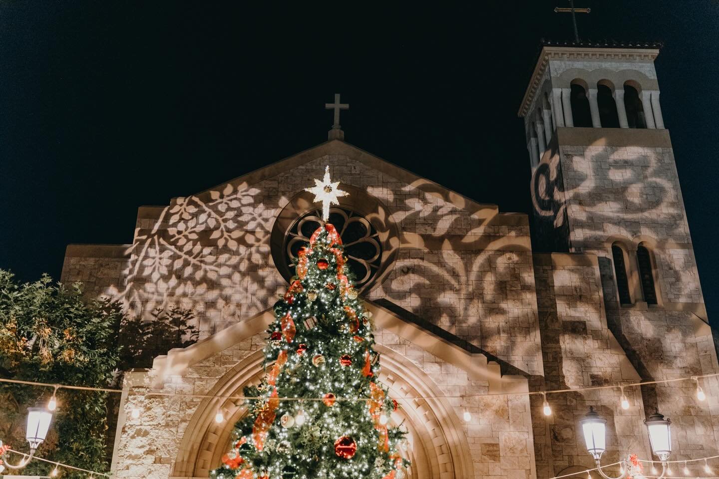 Still in awe of the beautiful night we shared last Sunday 🥹🎄

Thank you to our CC community for celebrating the first Sunday of Advent with us at our 13th Annual Tree Lighting &amp; Anniversary Mass! Your support and presence makes this night so sp