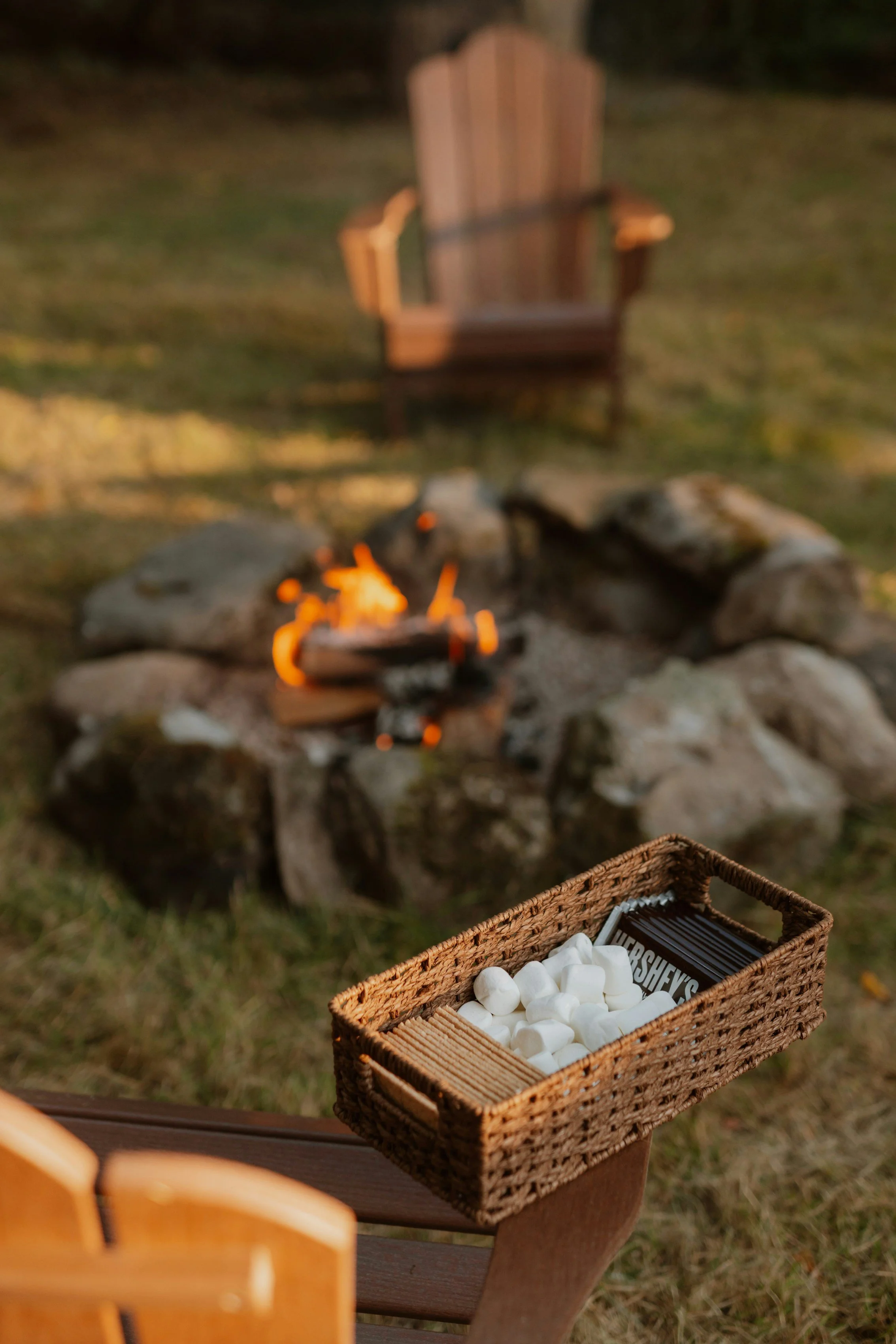 S’mores Night
