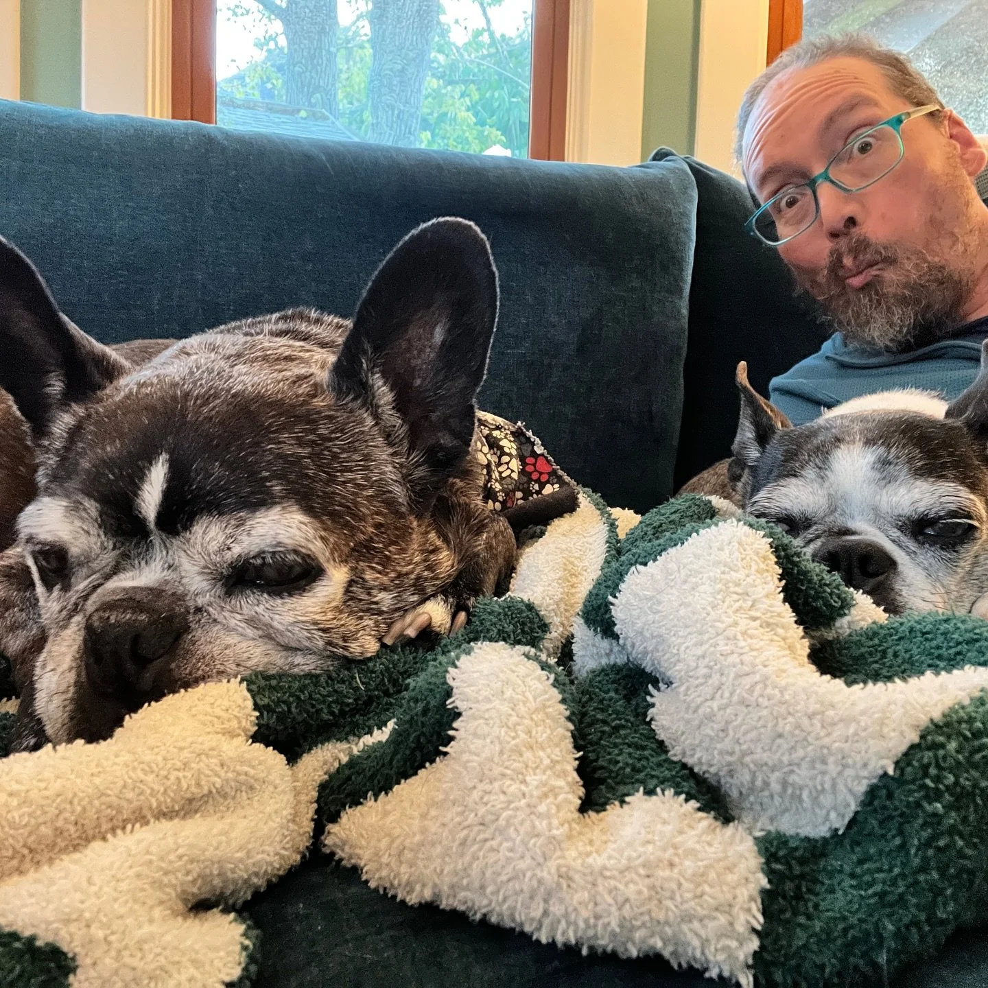 Porter and Jeanie had their annual checkup  @pointbreezevet a couple of weeks ago. Porter&rsquo;s cough had gotten much more prominent so we weren&rsquo;t too surprised when his chest X-ray revealed fluid build up on his lungs and his heart enlarged 