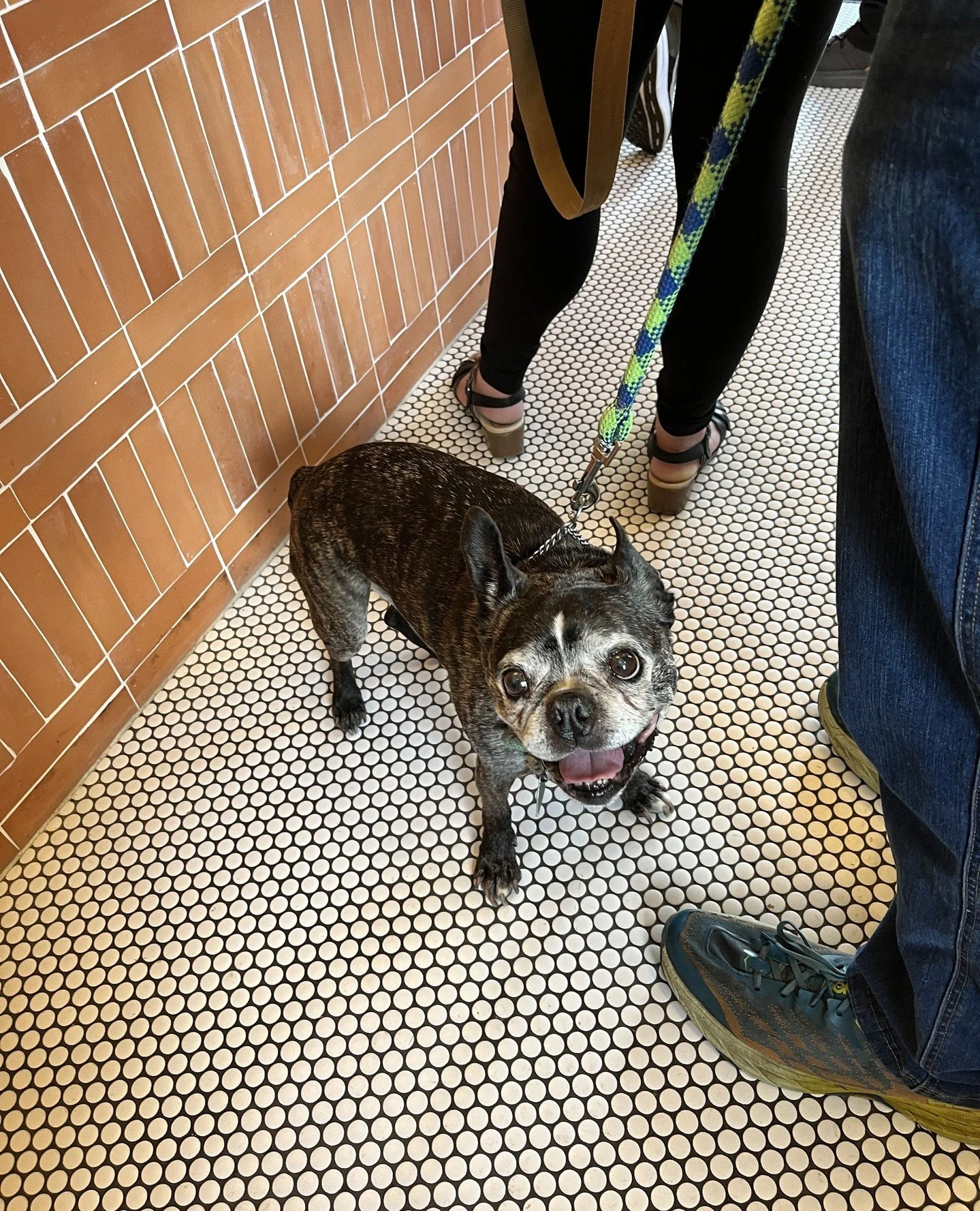 (2 of 4 because character limits)⁠
⁠
Before we signed off our business anniversary month with a thank you discount code (PORTERLOVES13 for 13% off the Porter Loves Shop through November 30), we took a moment to shout out 13 local favorites that we lo