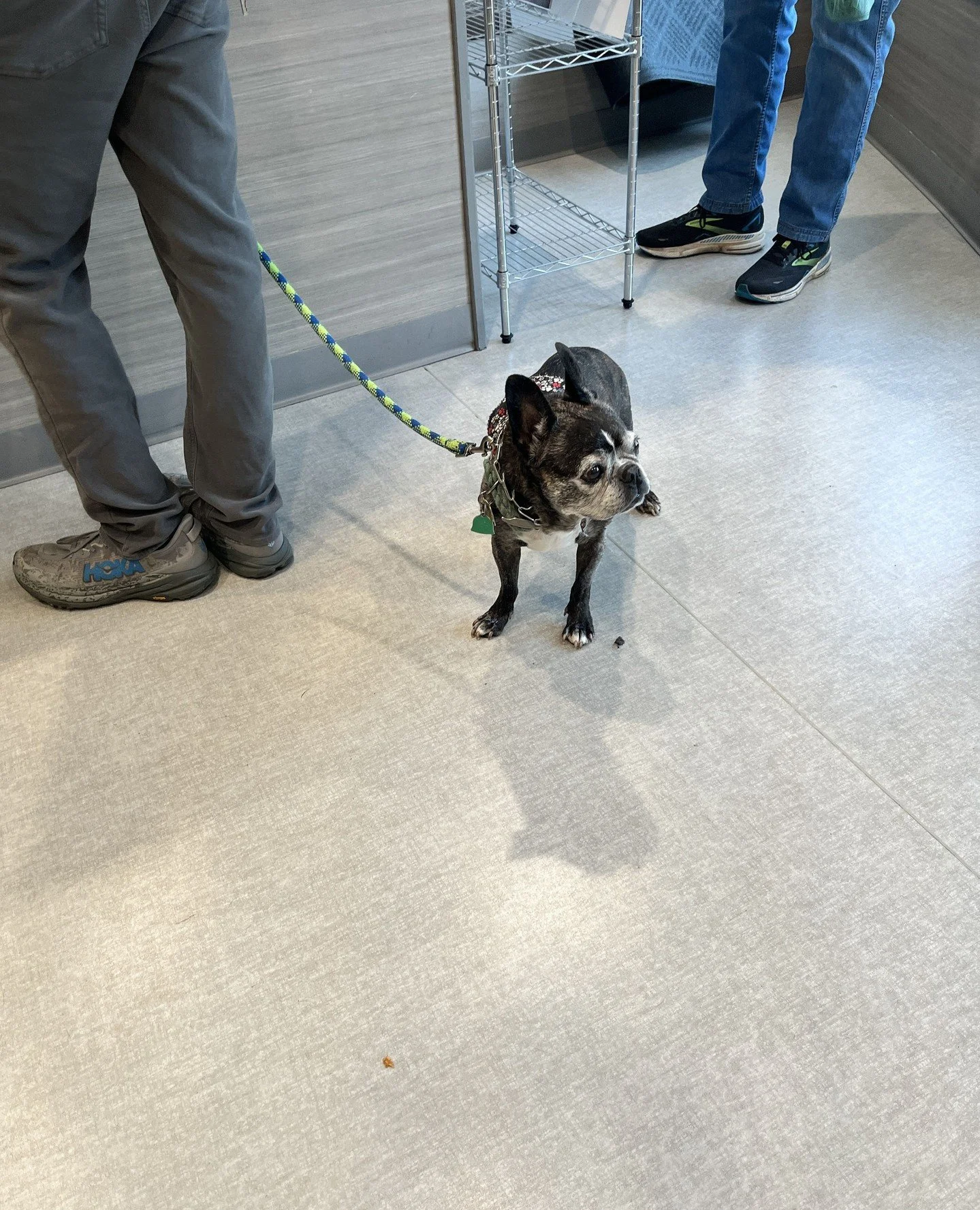 (4 out of 4 because character limits)⁠
⁠
SELF/COLLECTIVE/COMMUNITY CARE⁠
We're infinitely better at taking care of other people than we are of ourselves. But we're working on it&mdash; we're works in progress, if you will. And these folks help.⁠
⁠
Dr