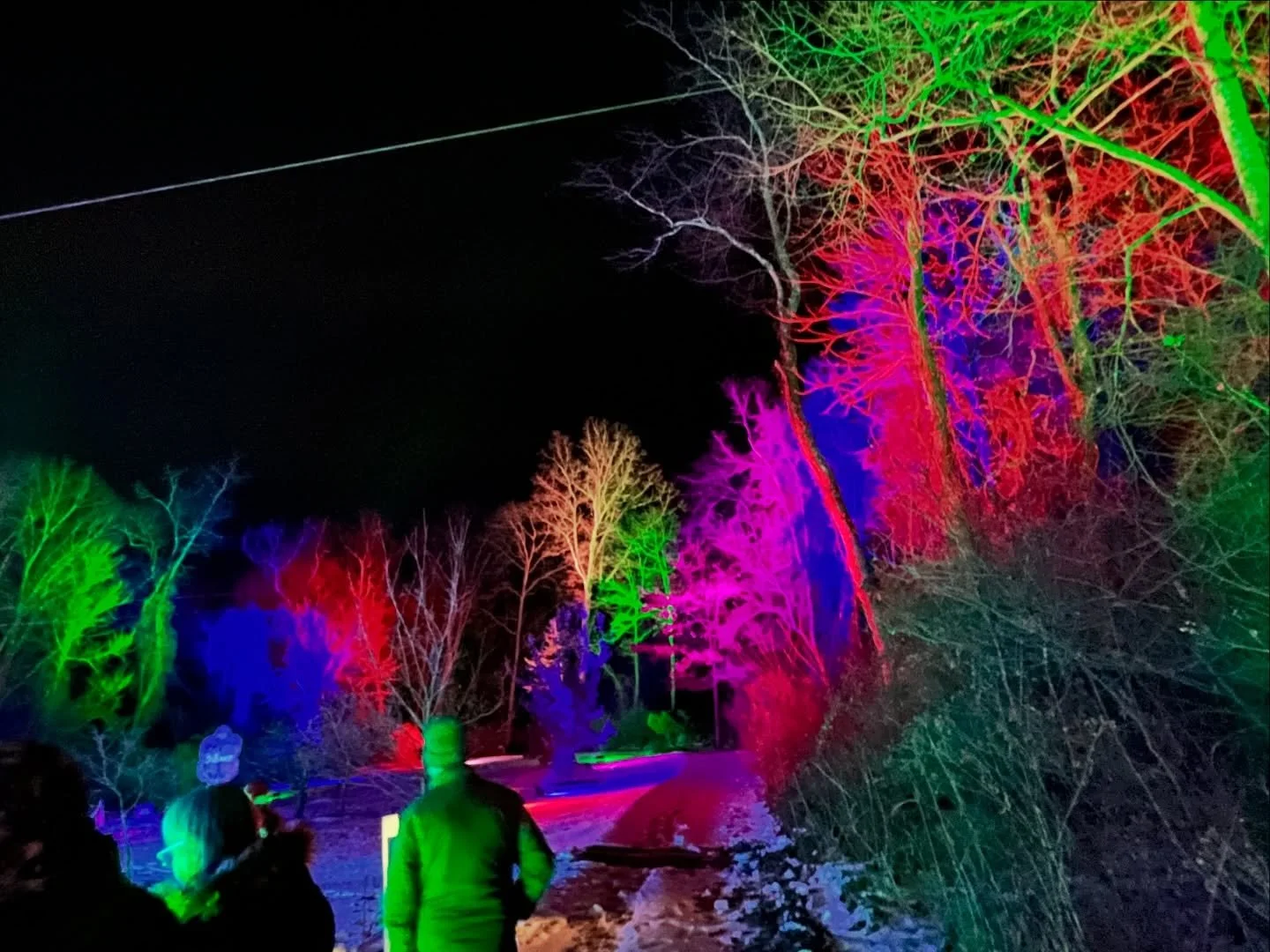 Holiday lights, a visit to StL with funny adorable niblings, an amazing exhibition of Anselm Kiefer work, Christmas chaos, meeting Santa on a train, climbing adventures, and a warm and cuddly visit with friends at the Brookefield Home for Senior Dogs