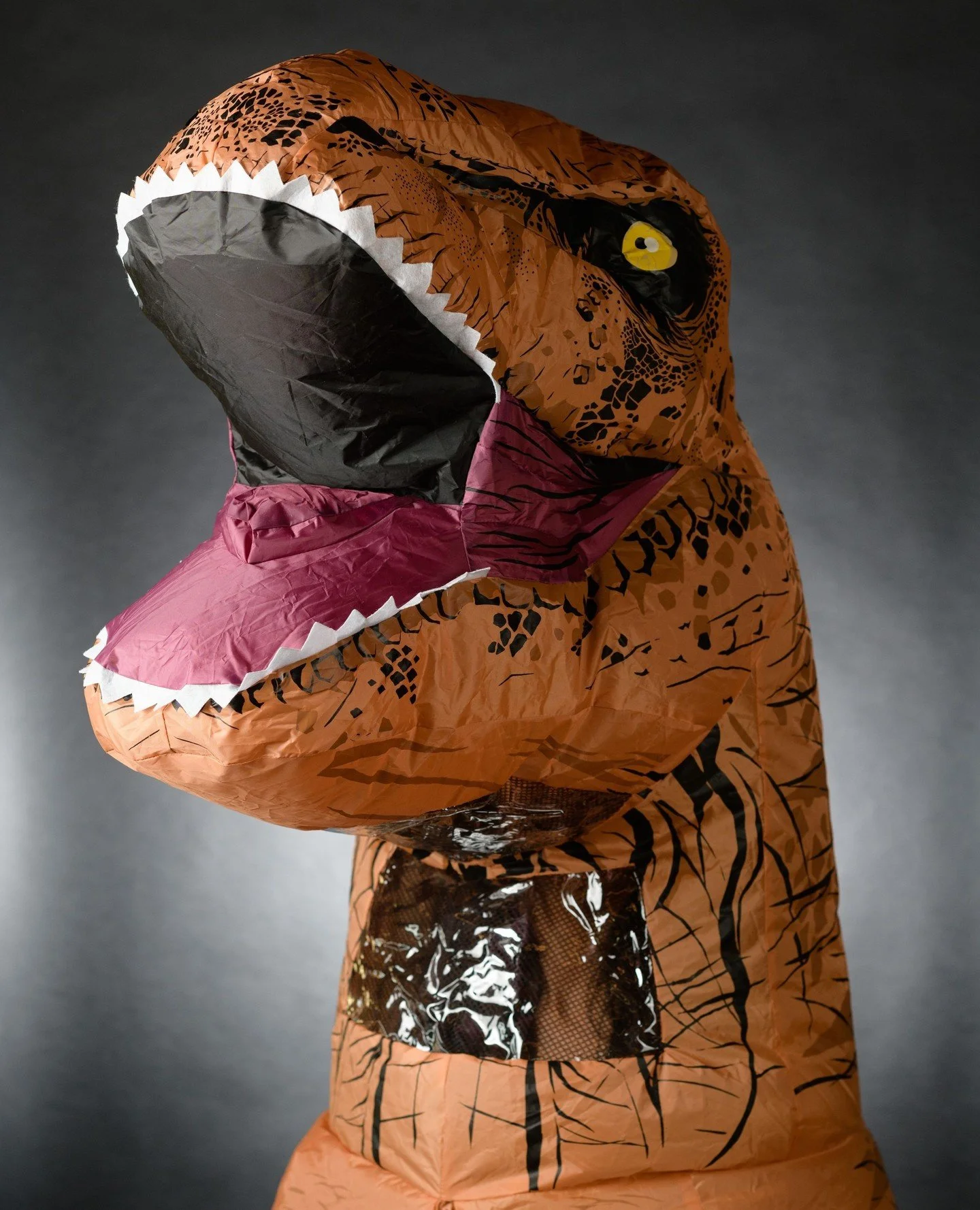 Adding photos with a giant inflatable dinosaur head to your professional headshot session is not the right choice for everyone.⁠
⁠
But, for others, it's a perfect choice - no question.⁠
⁠
When we were set up for a headshot day a few years ago at a lo