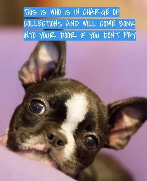 A little (literally) #FridayIntroduction: We're Always Late To The Trends Edition⁠
⁠
#PorterLoves #MeetTheTeam